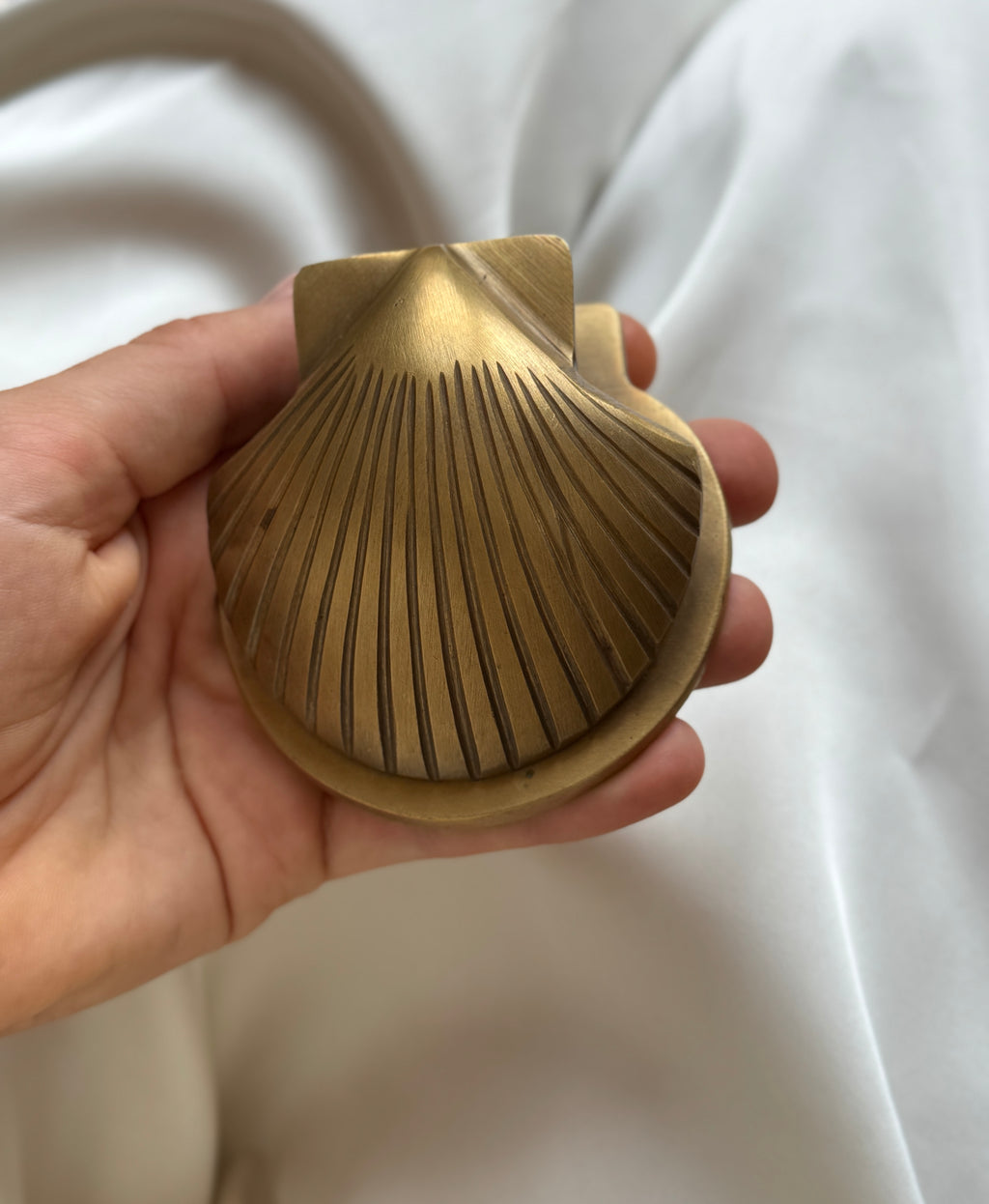 Vintage Brass Shell Wall Clip