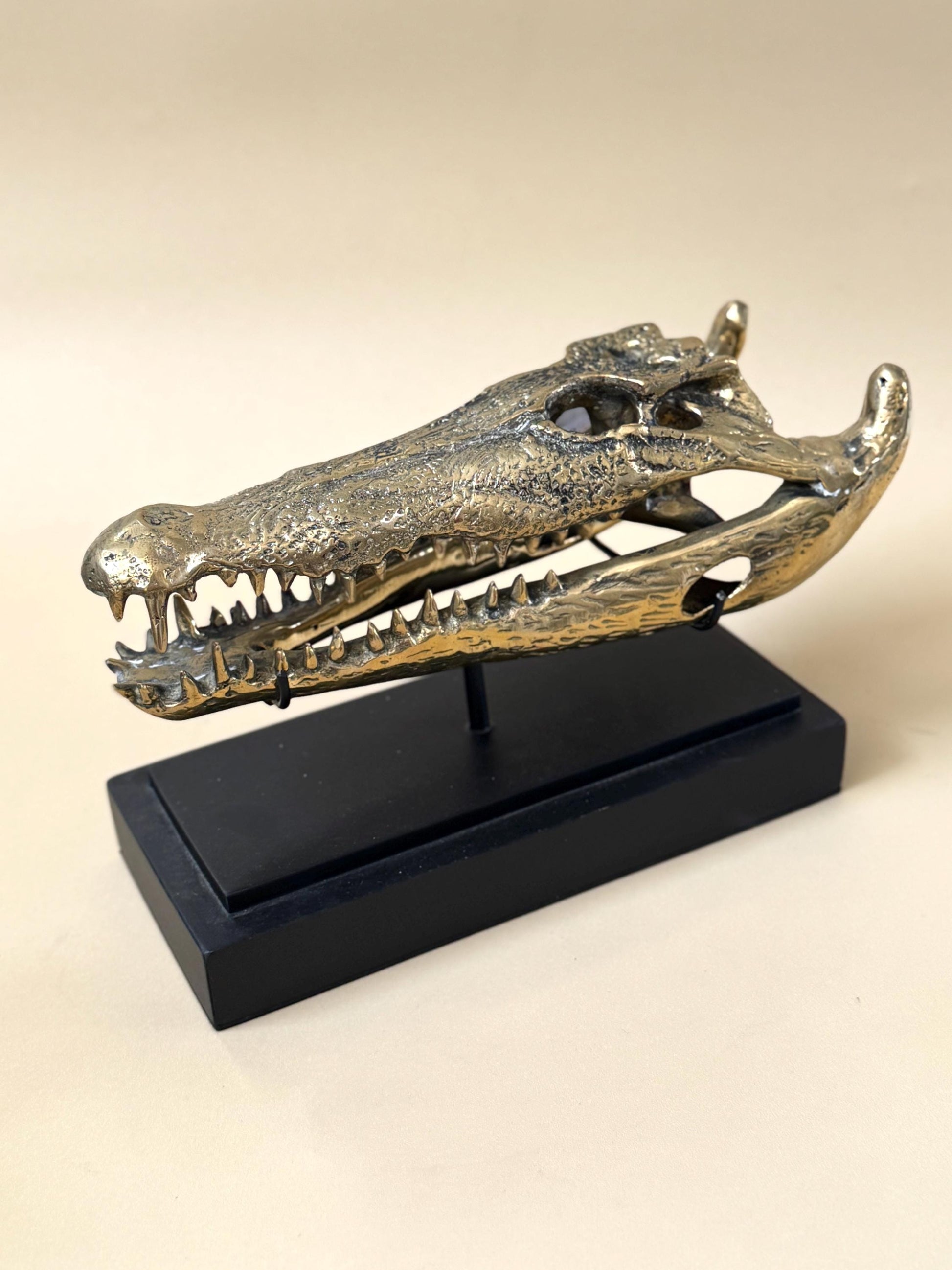 Gold Crocodile Skull Statue on Stand