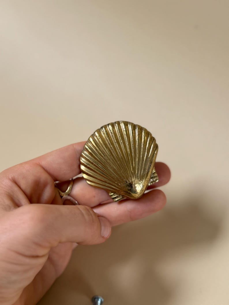 Shell Drawer Knob