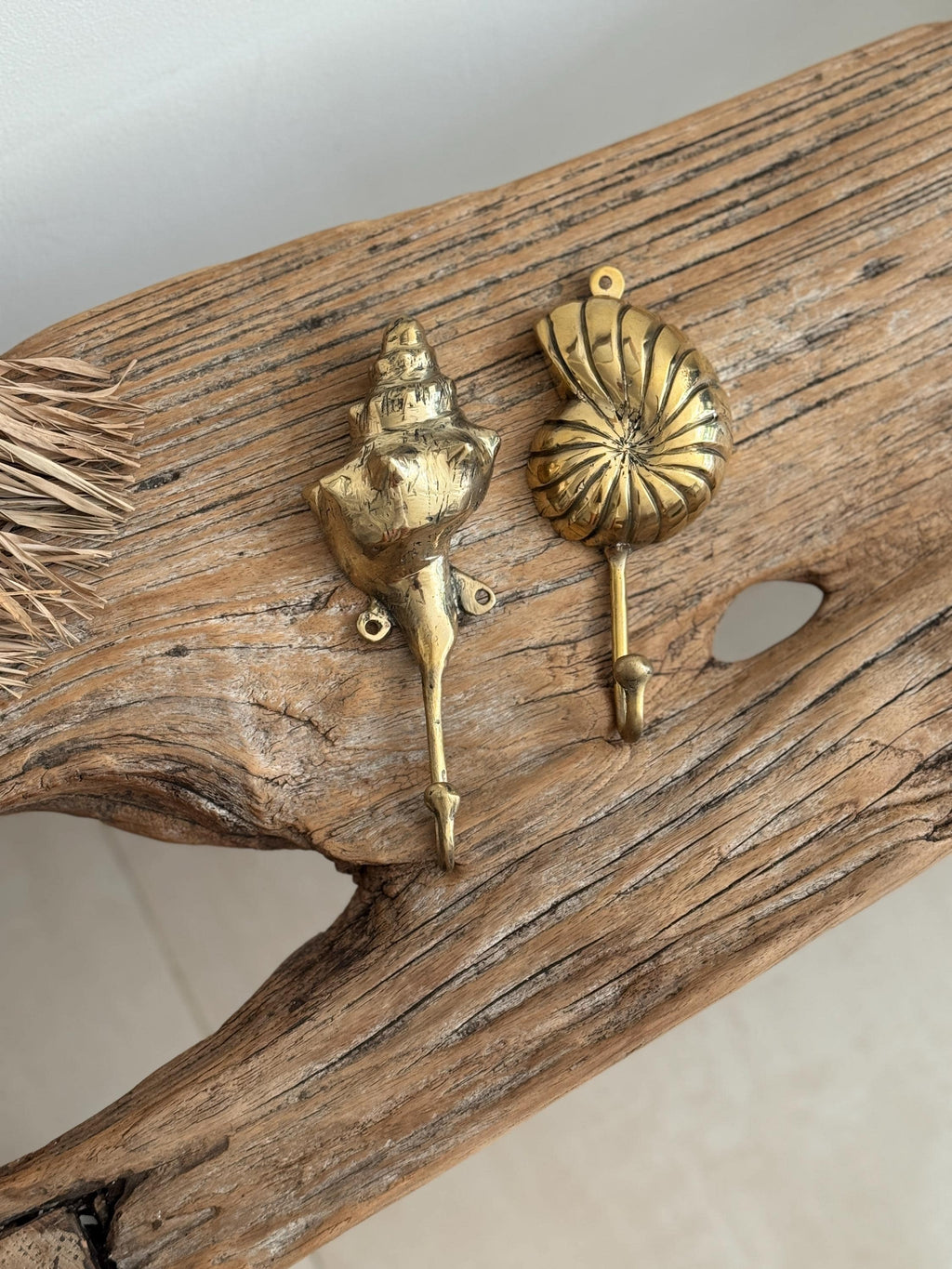 Brass Shell Wall Hook