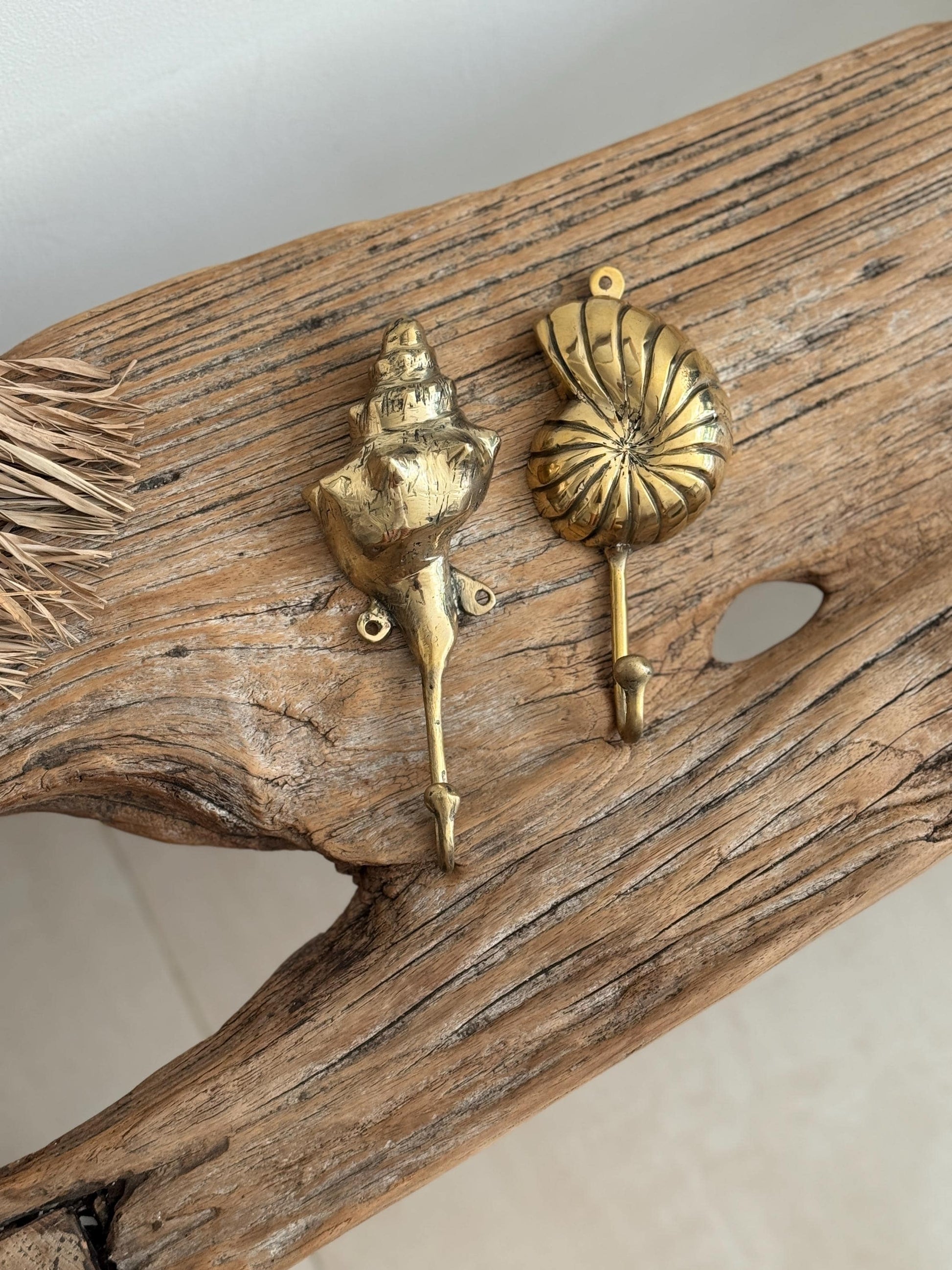 Brass Shell Wall Hook
