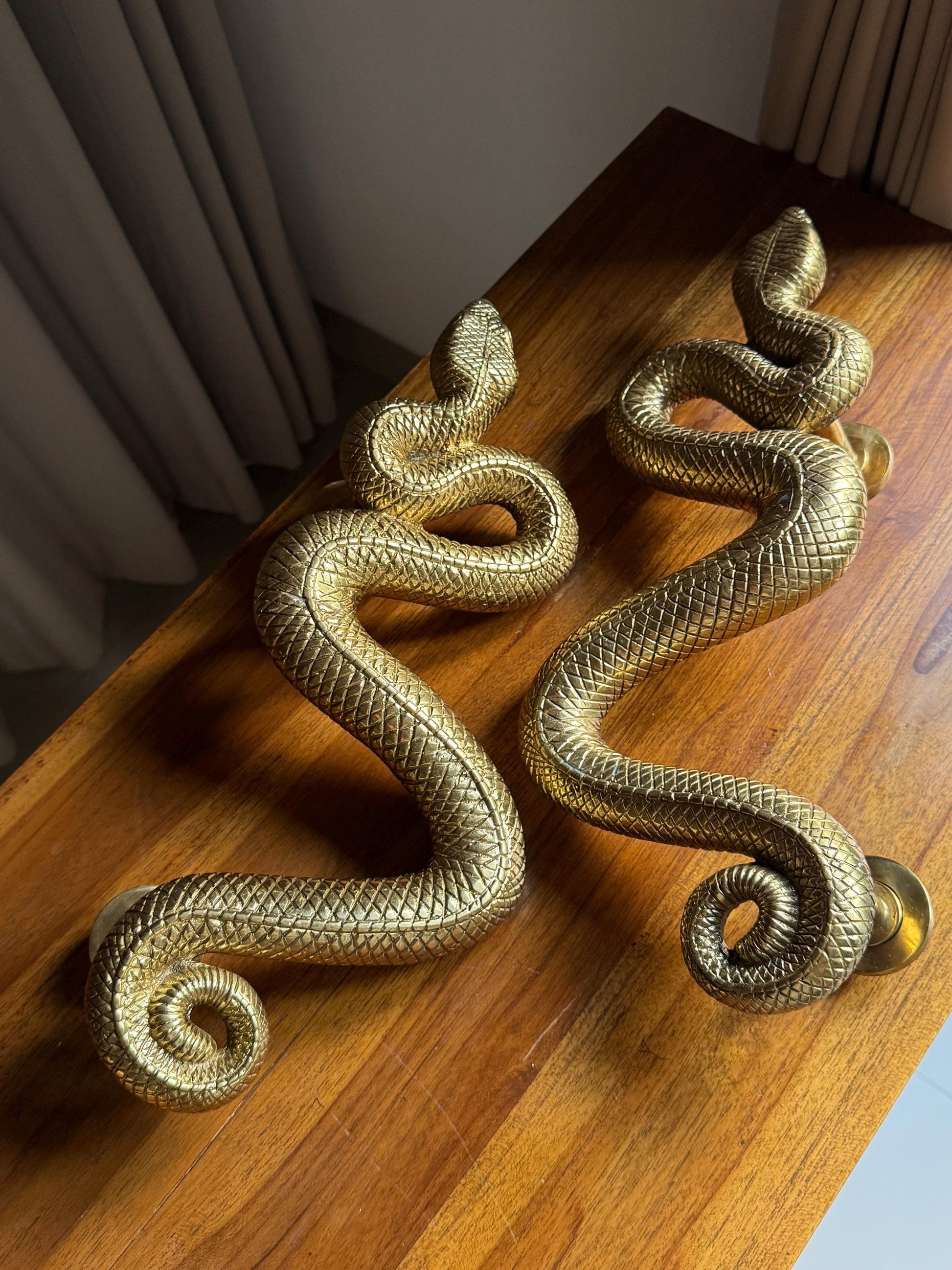 Brass Snake Door Handle