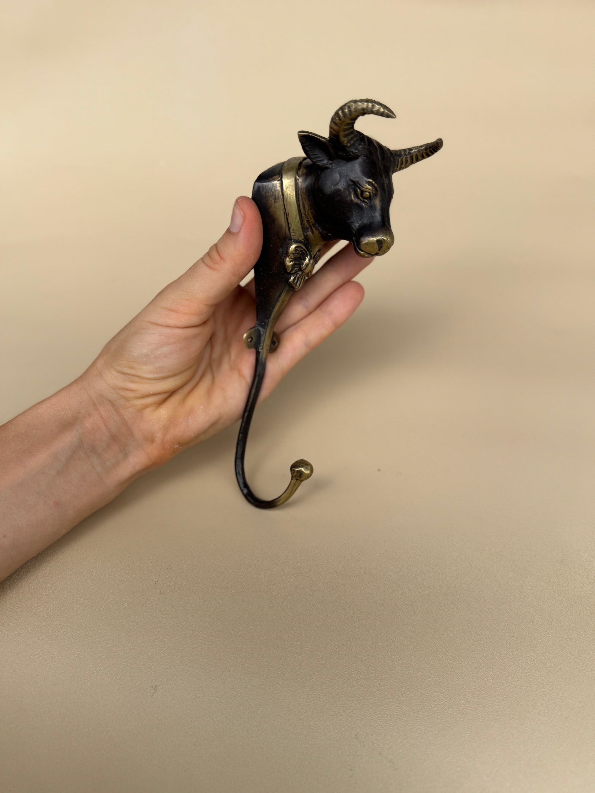 Bull Wall Hook
