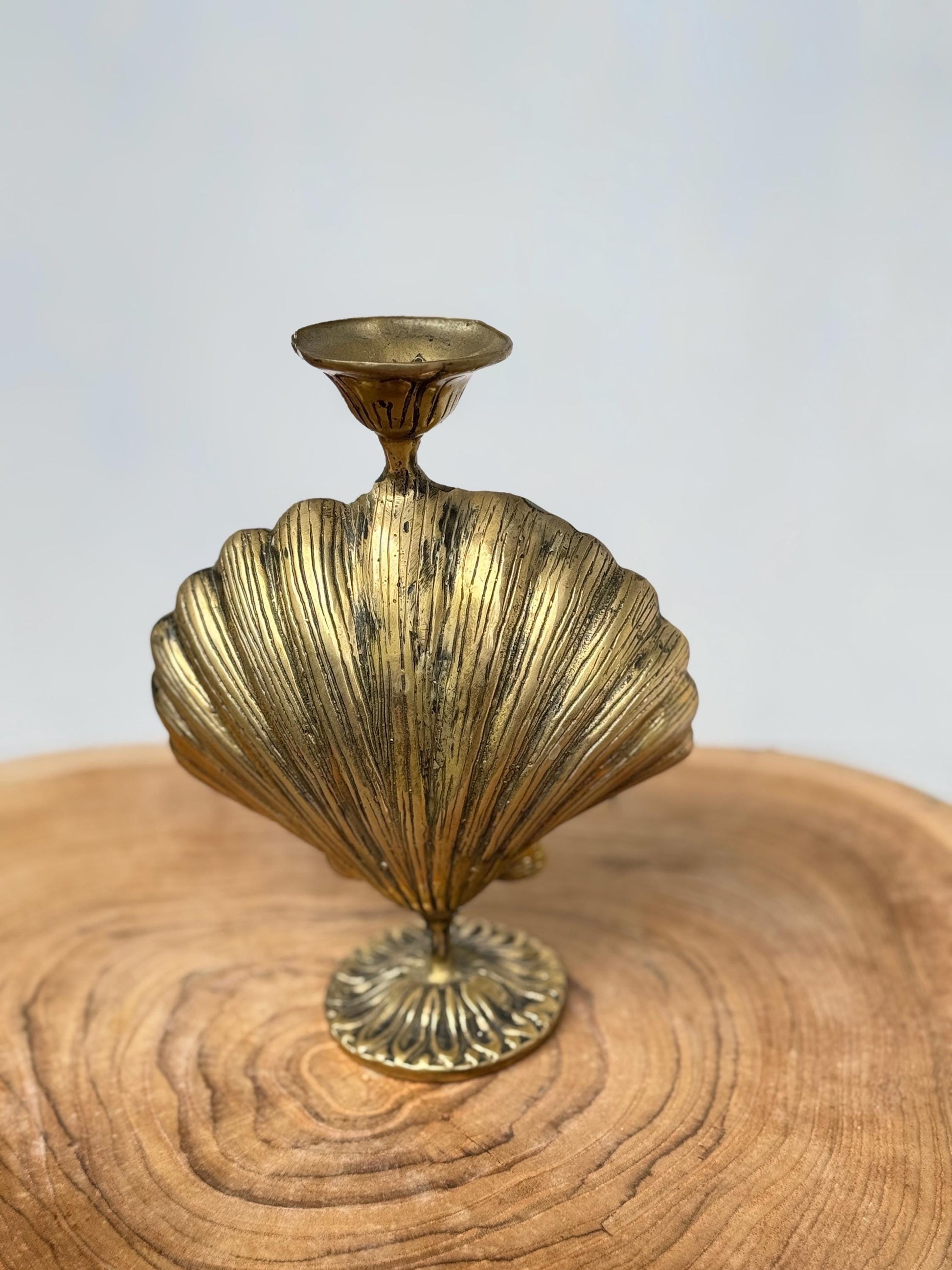 Shell Candle Holder