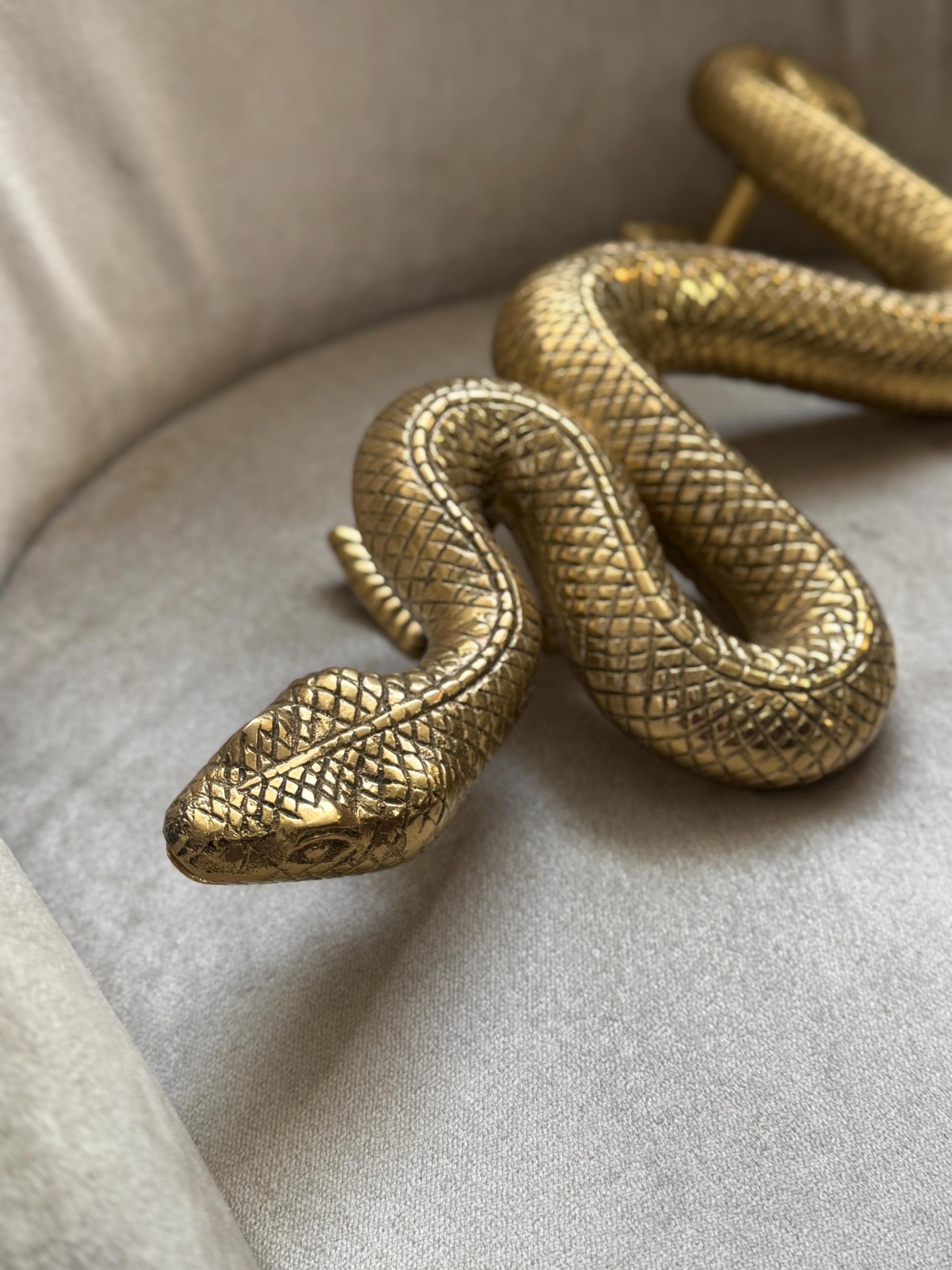 Brass Snake Door Handle