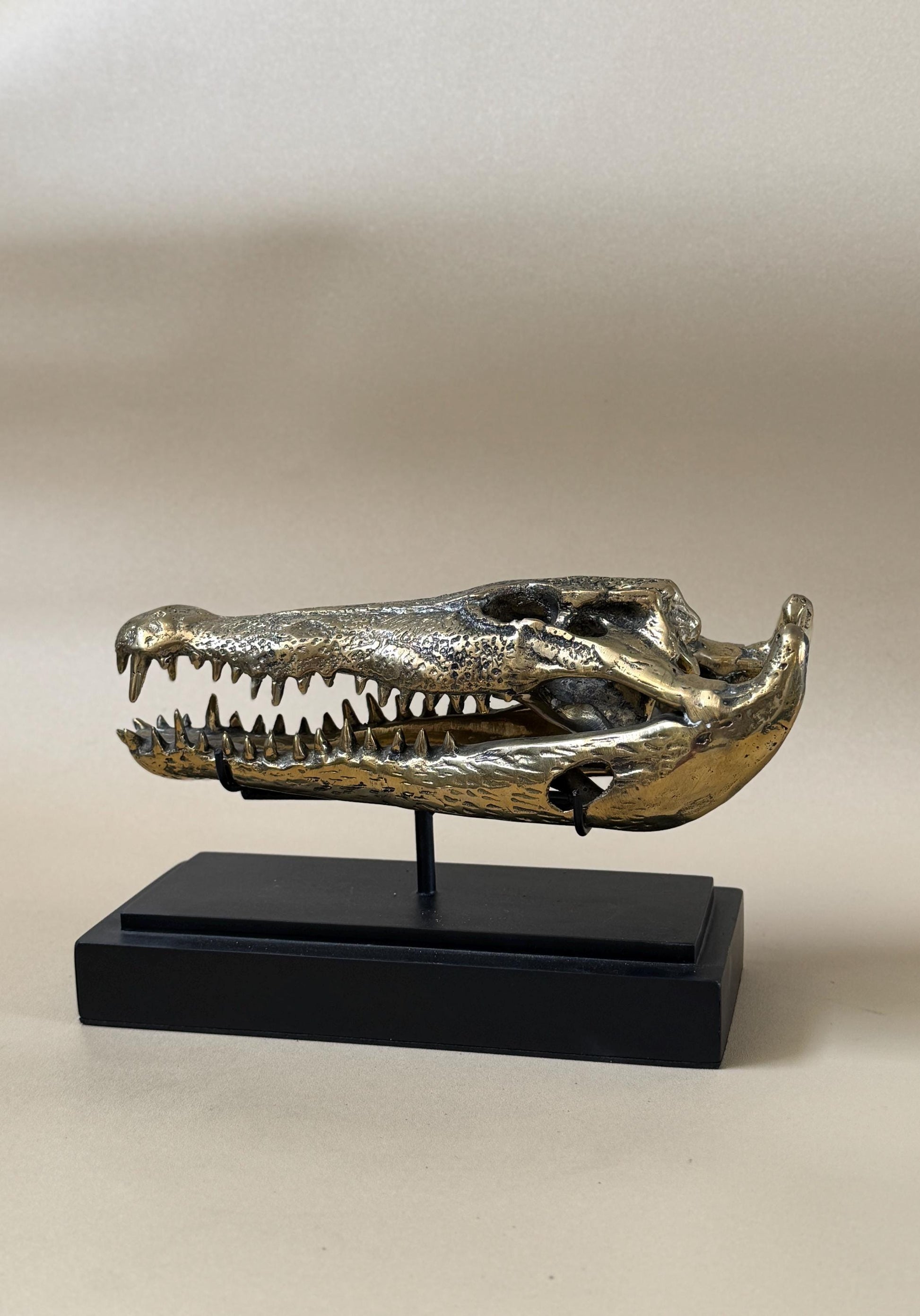 Gold Crocodile Skull Statue on Stand