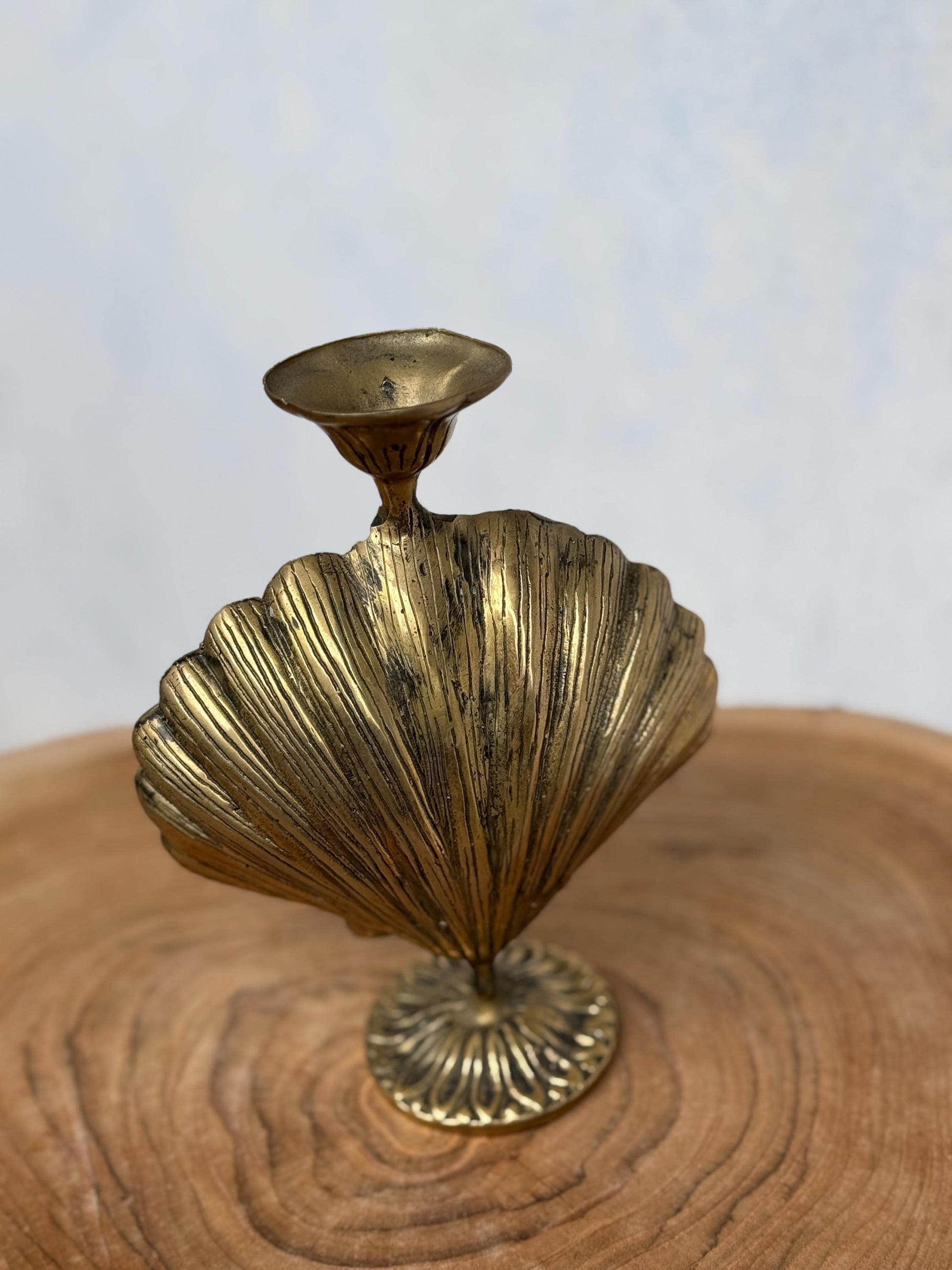 Shell Candle Holder