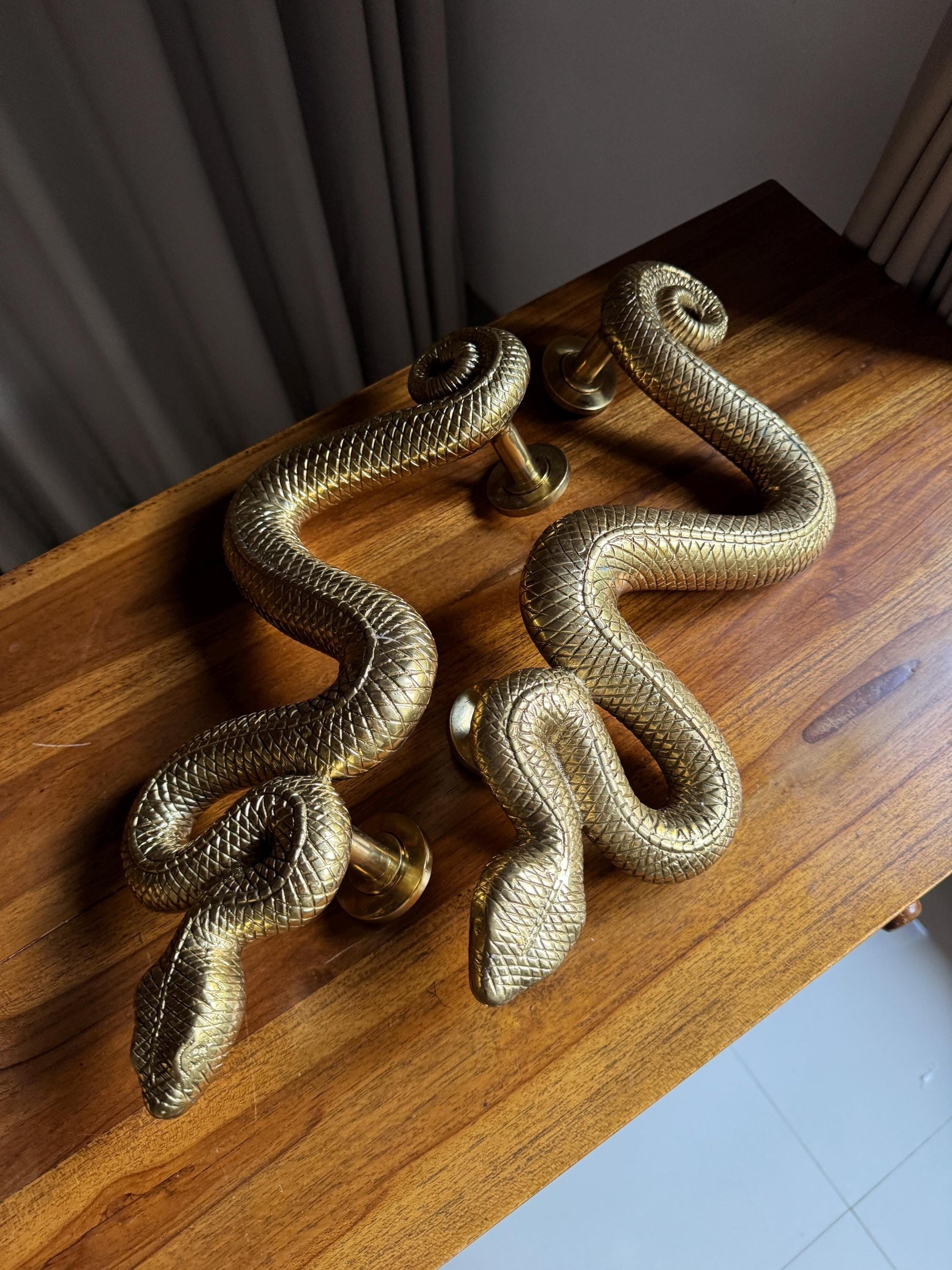 Brass Snake Door Handle