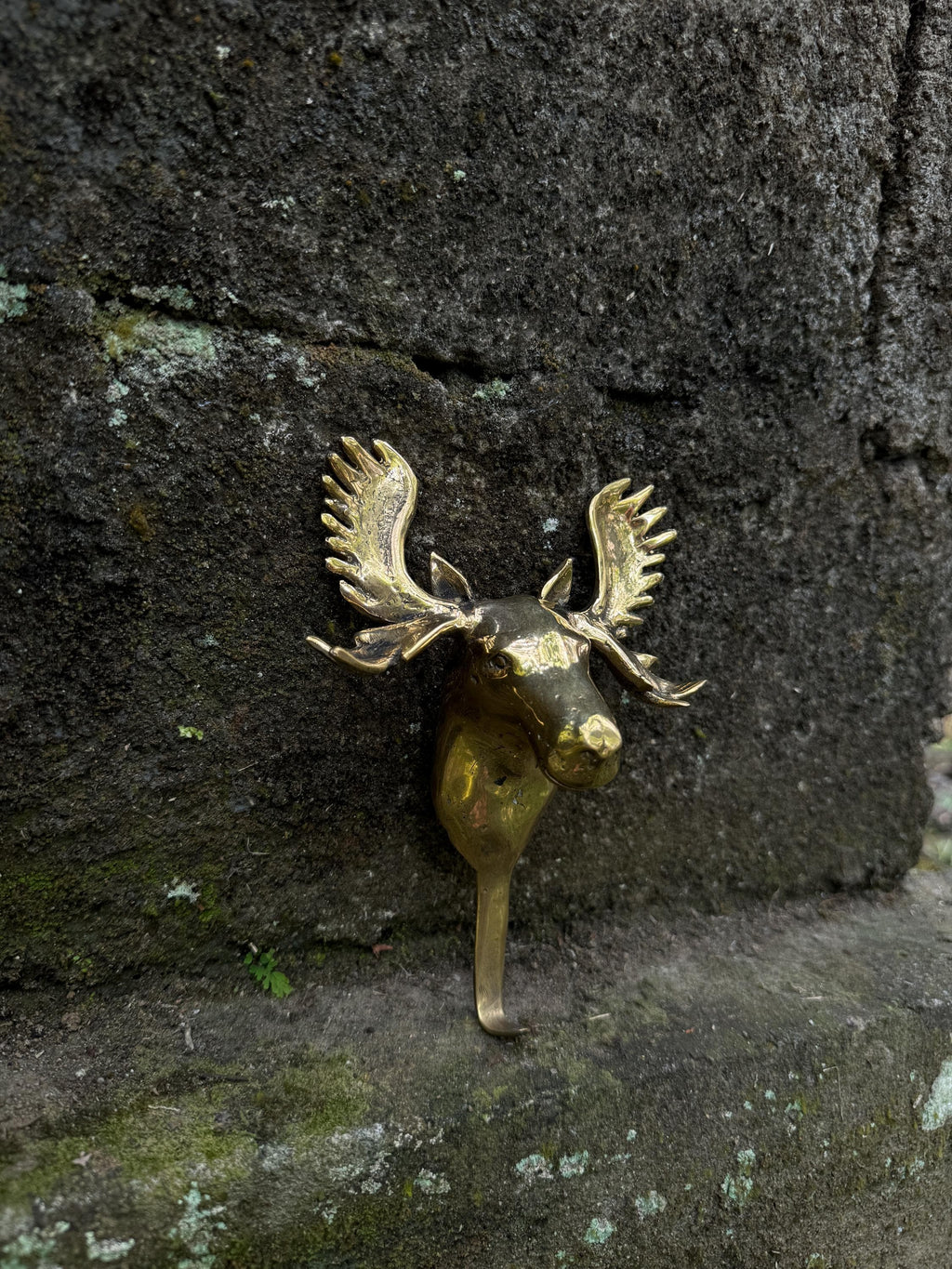 Wall Hook Moose
