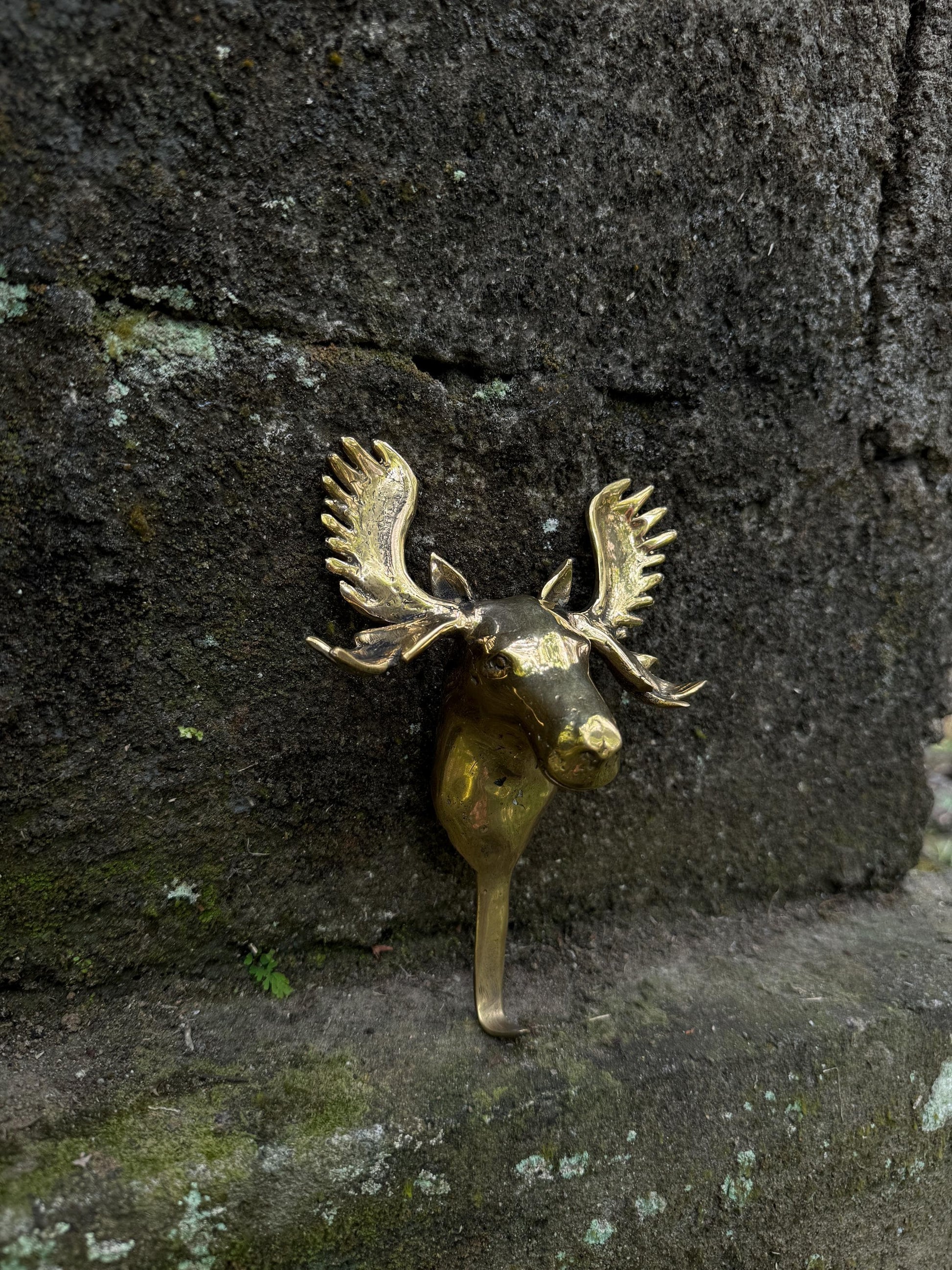 Wall Hook Moose