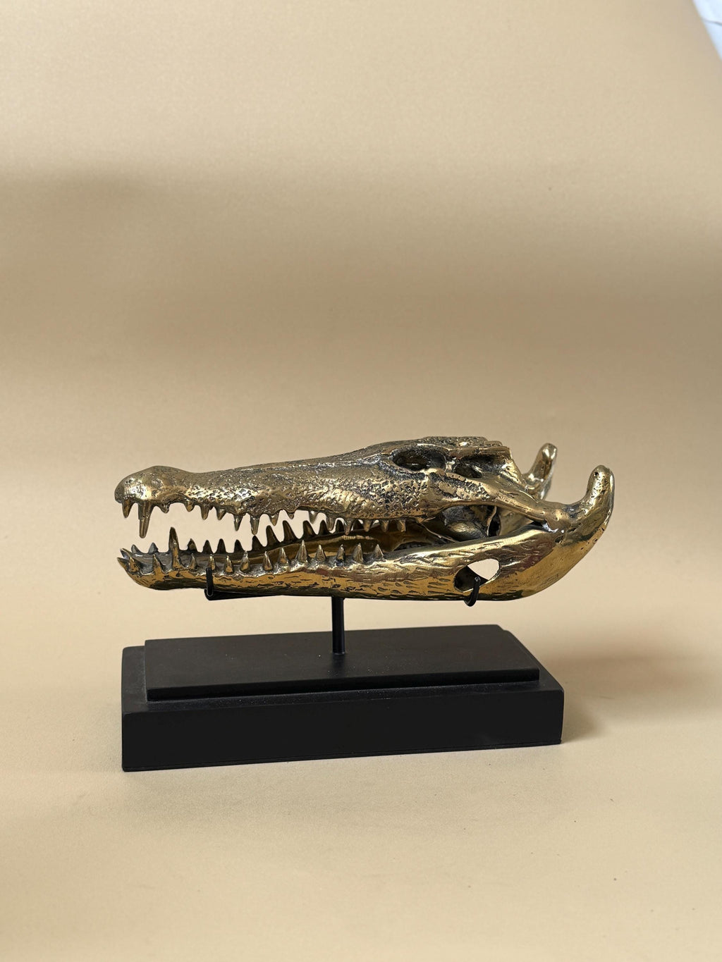 Gold Crocodile Skull Statue on Stand