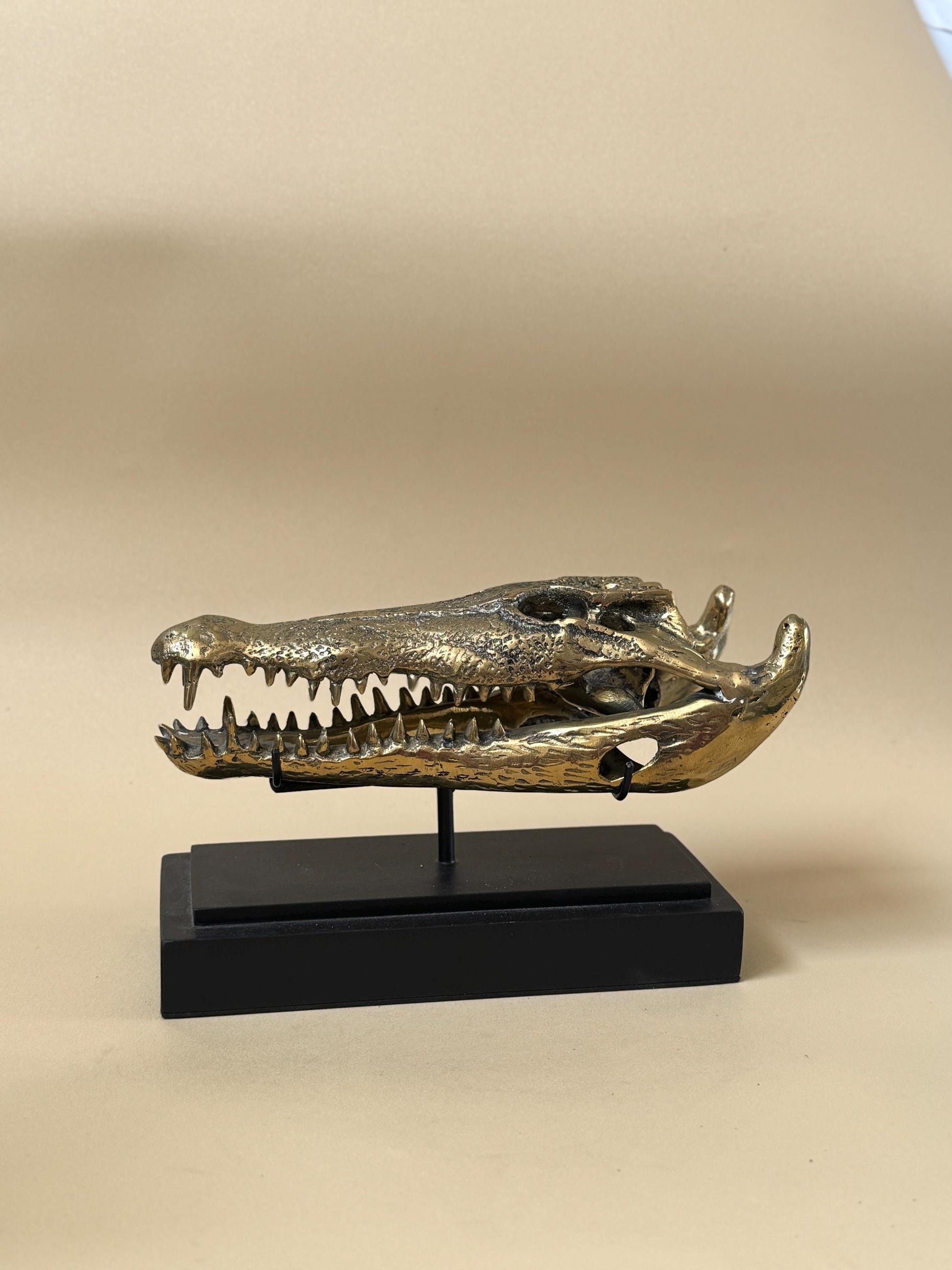 Gold Crocodile Skull Statue on Stand
