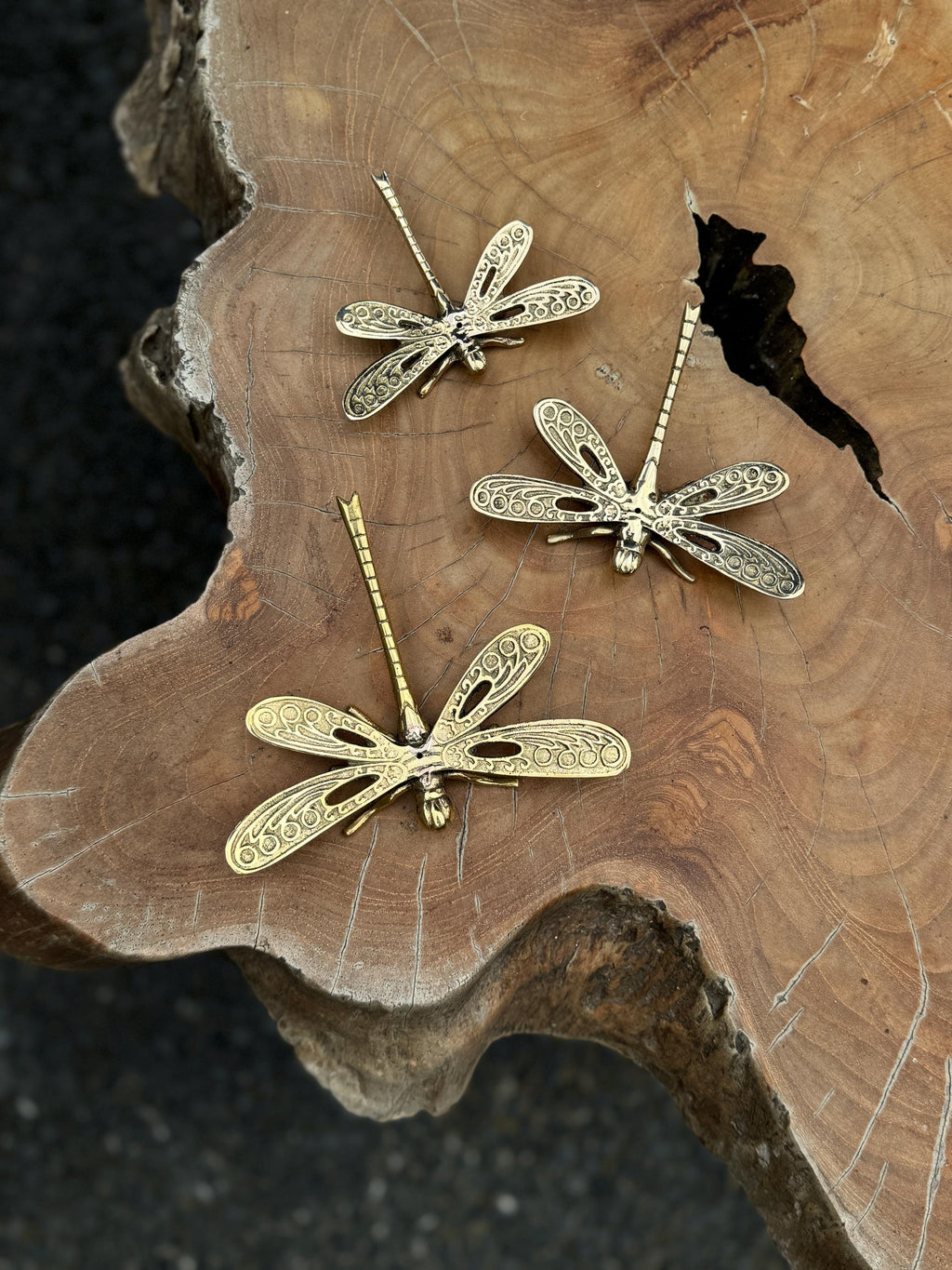 Brass Dragonfly Sculptures