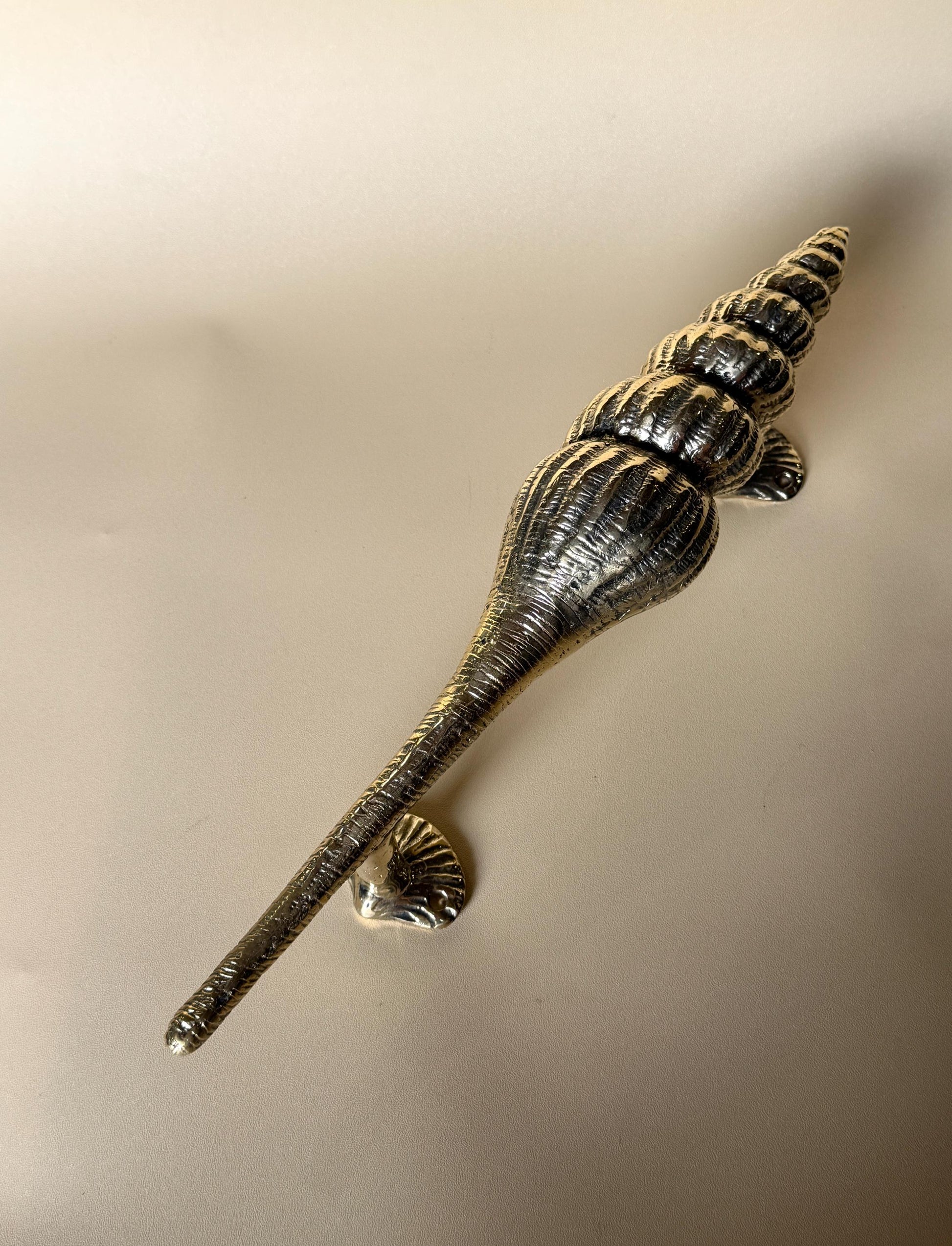 Seashell Brass Door Handle