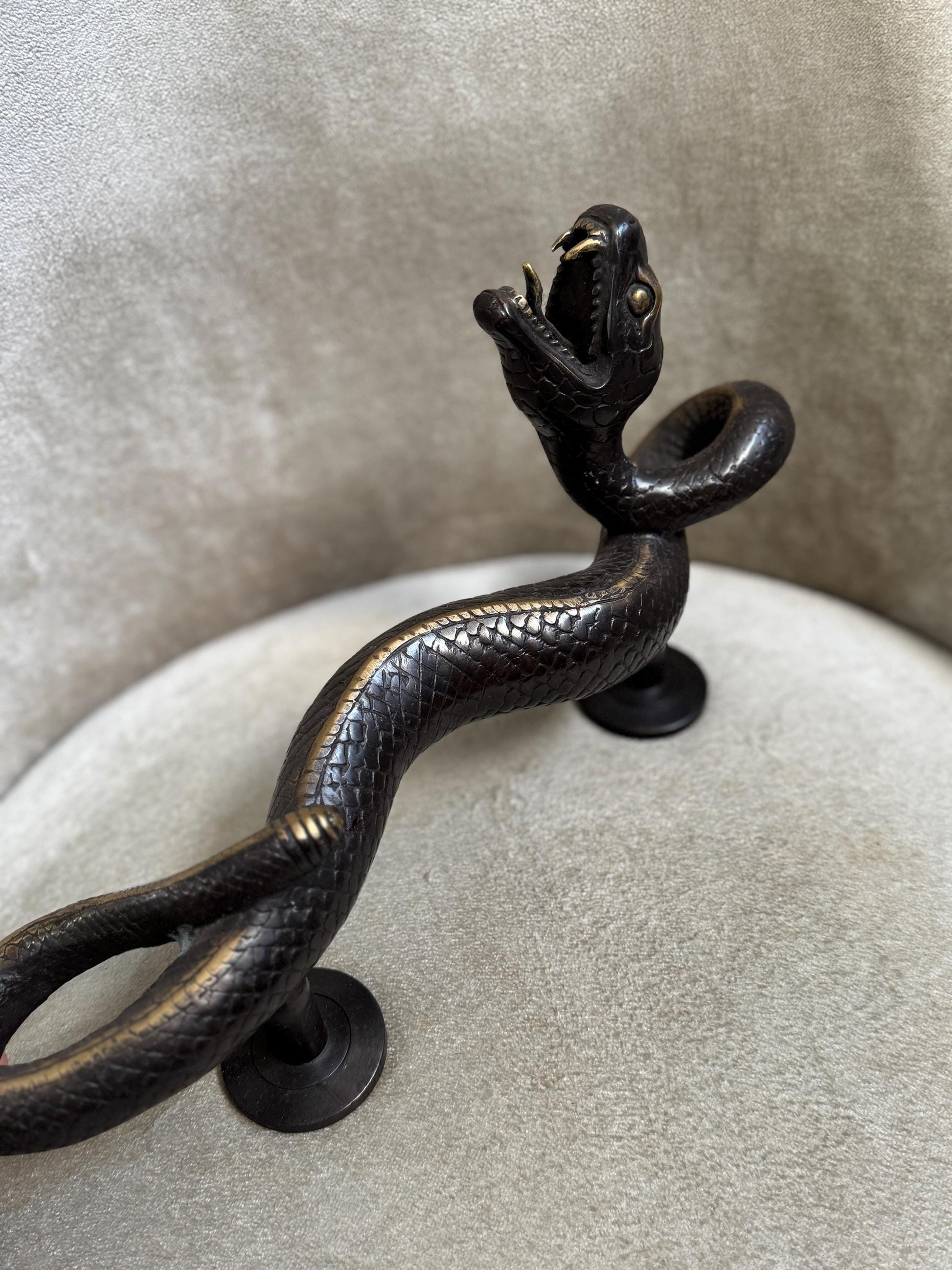 Brass Snake Door Handle