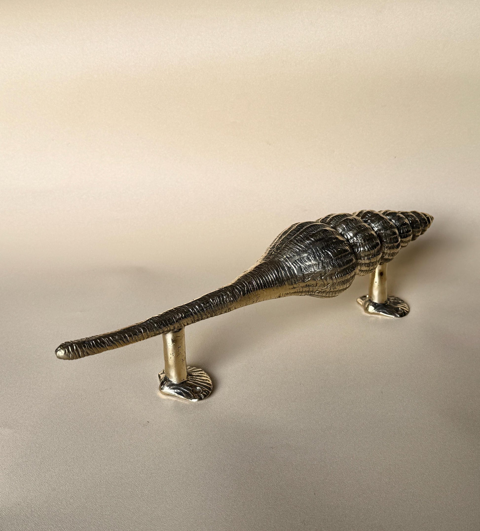 Seashell Brass Door Handle