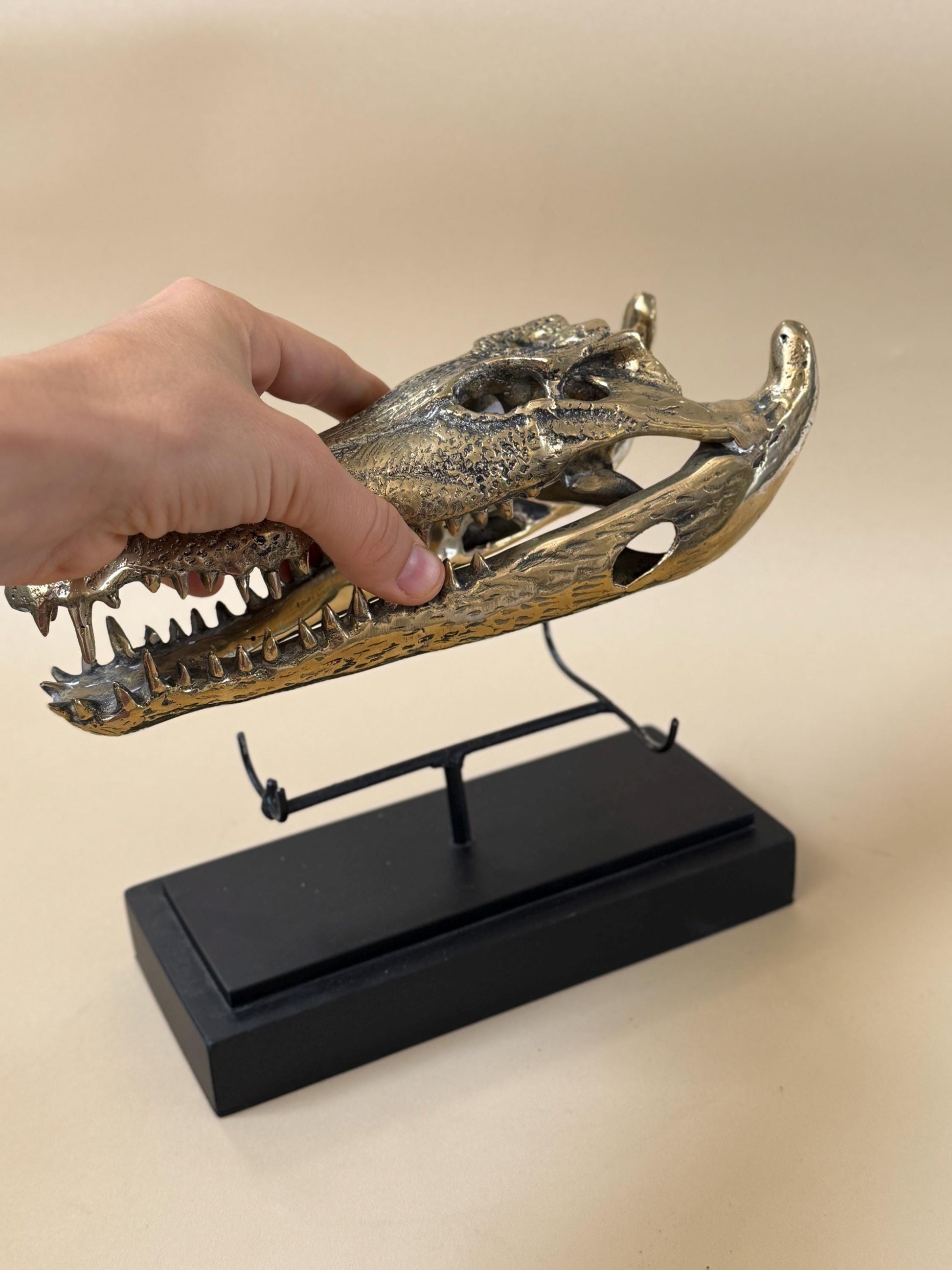 Gold Crocodile Skull Statue on Stand