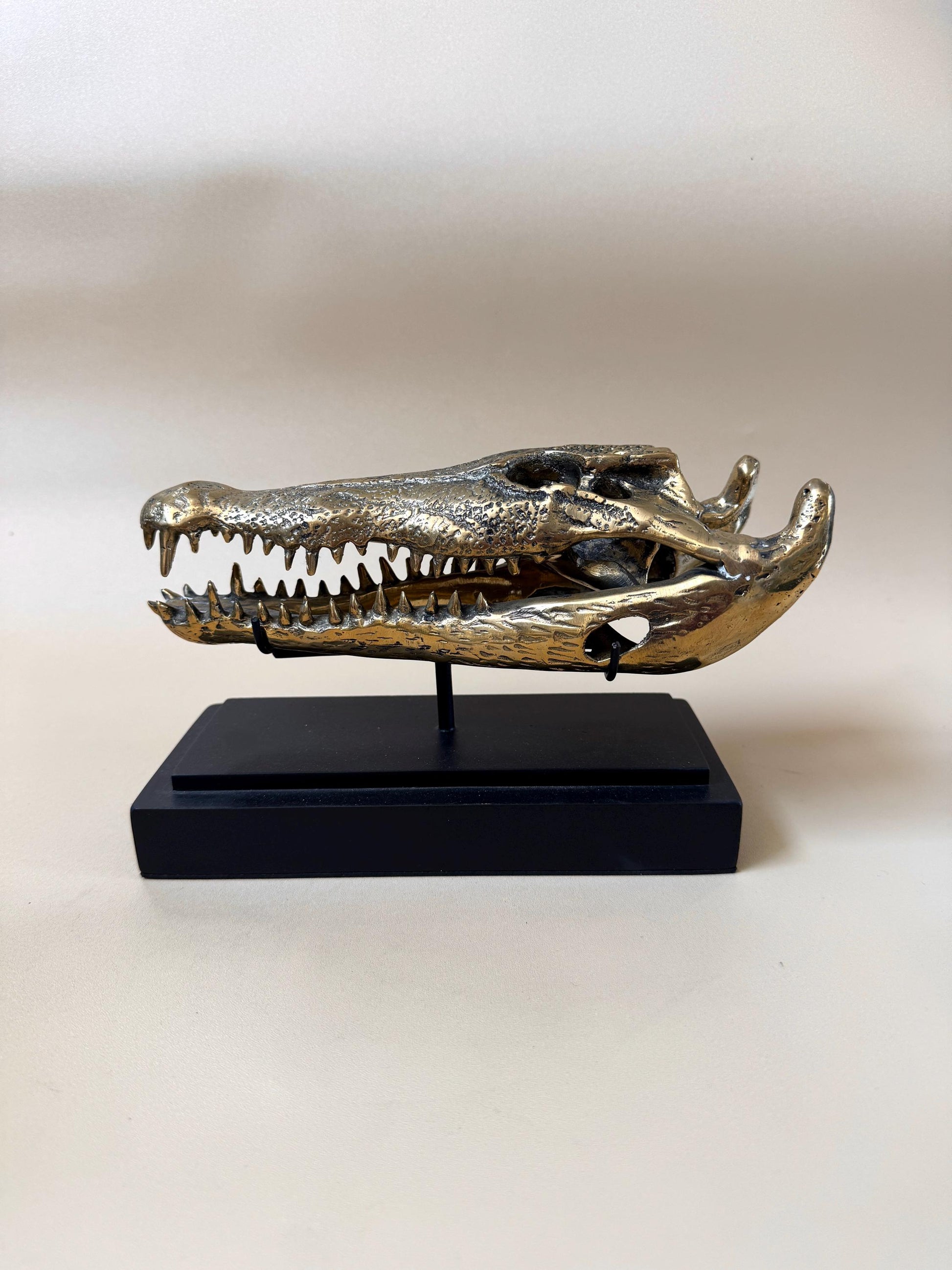 Gold Crocodile Skull Statue on Stand