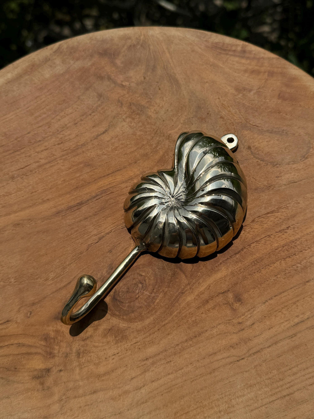 Brass Seashell Hook | Coastal Home & Nautical Decor