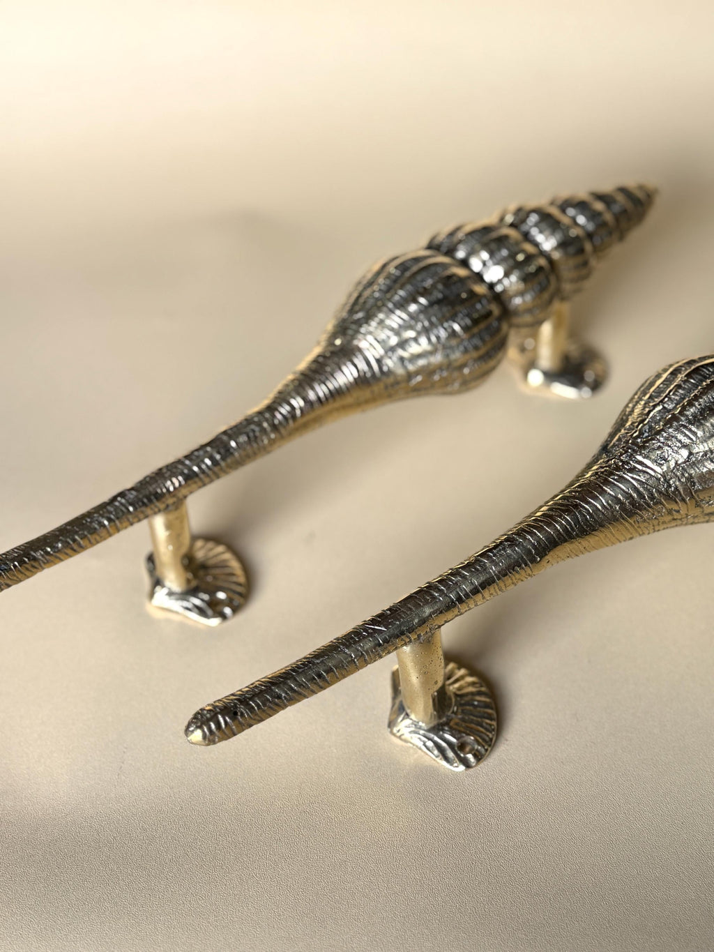Seashell Brass Door Handle