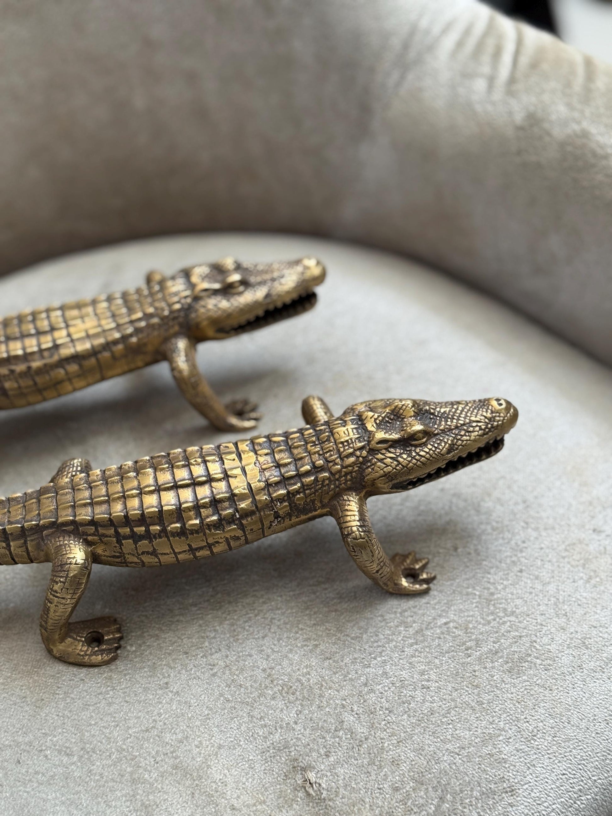 Brass Alligator Door Handle