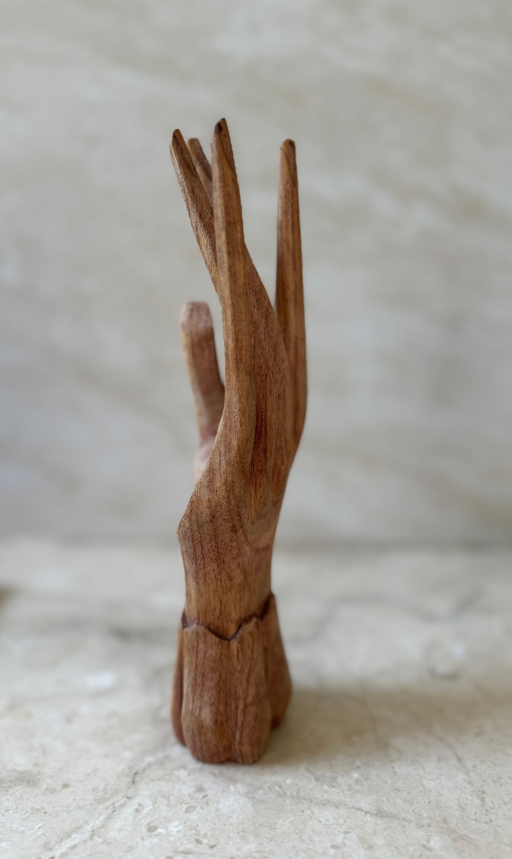 Wooden Hand Jewelry Organizer