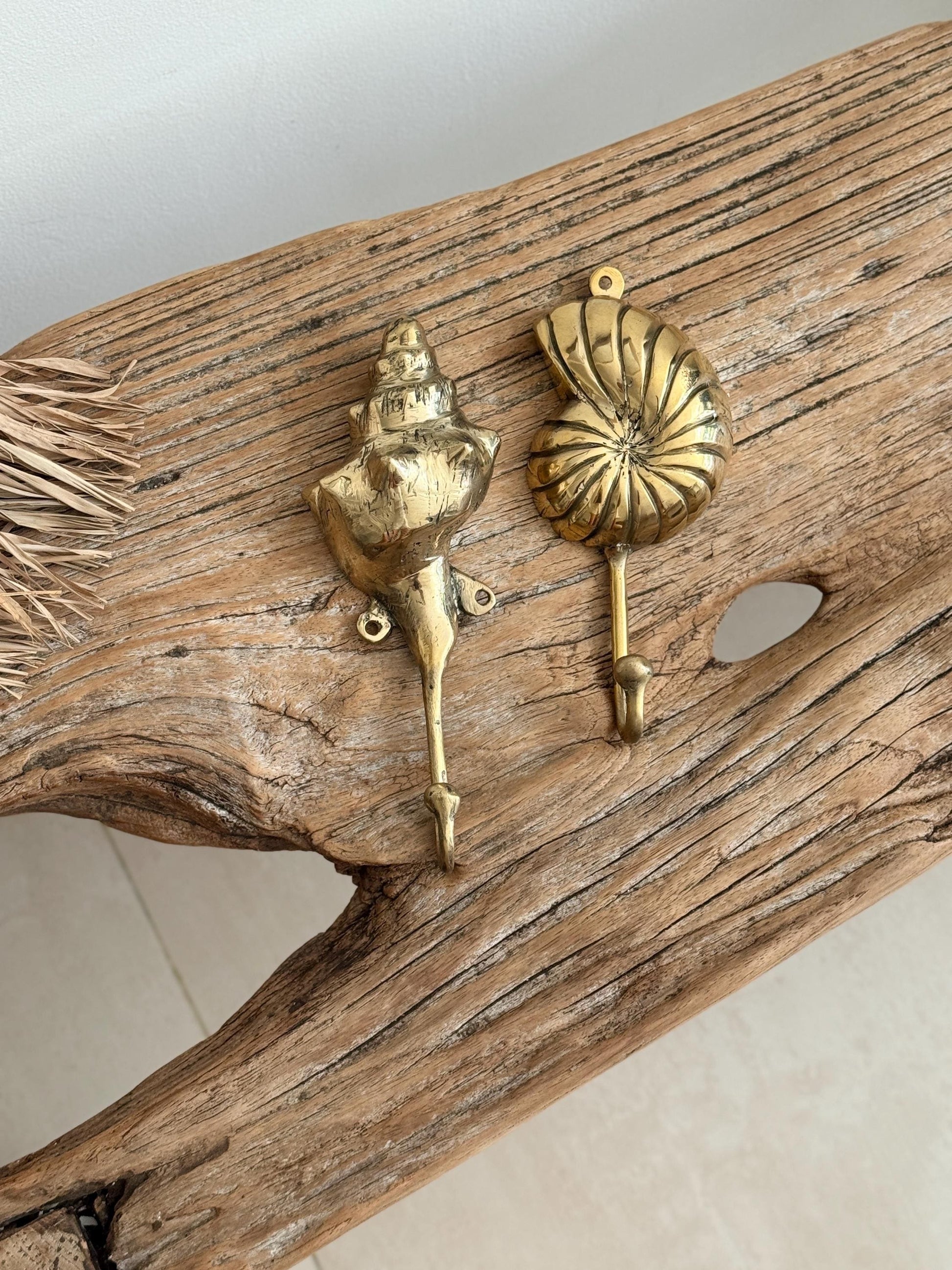 Brass Seashell Wall Hook