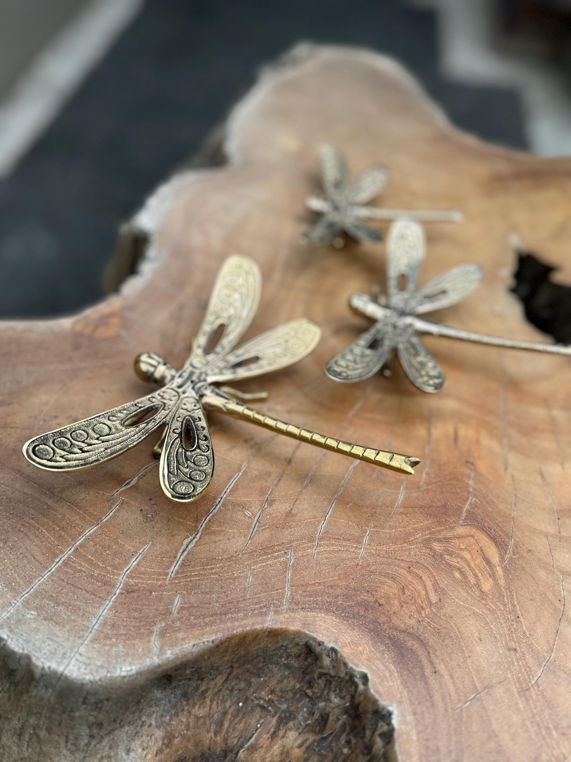 Brass Dragonfly Sculptures