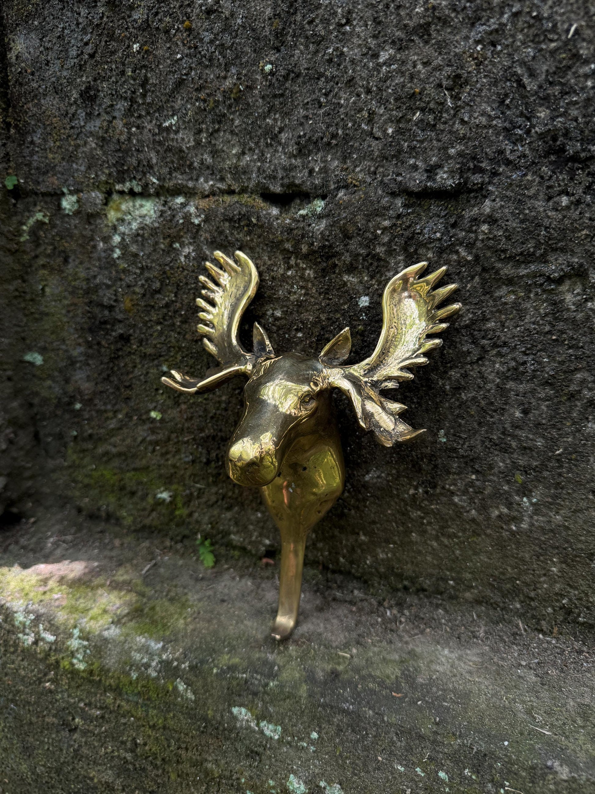 Wall Hook Moose