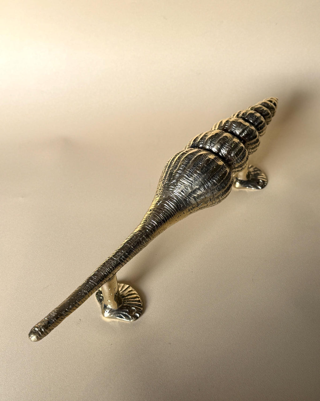 Seashell Brass Door Handle