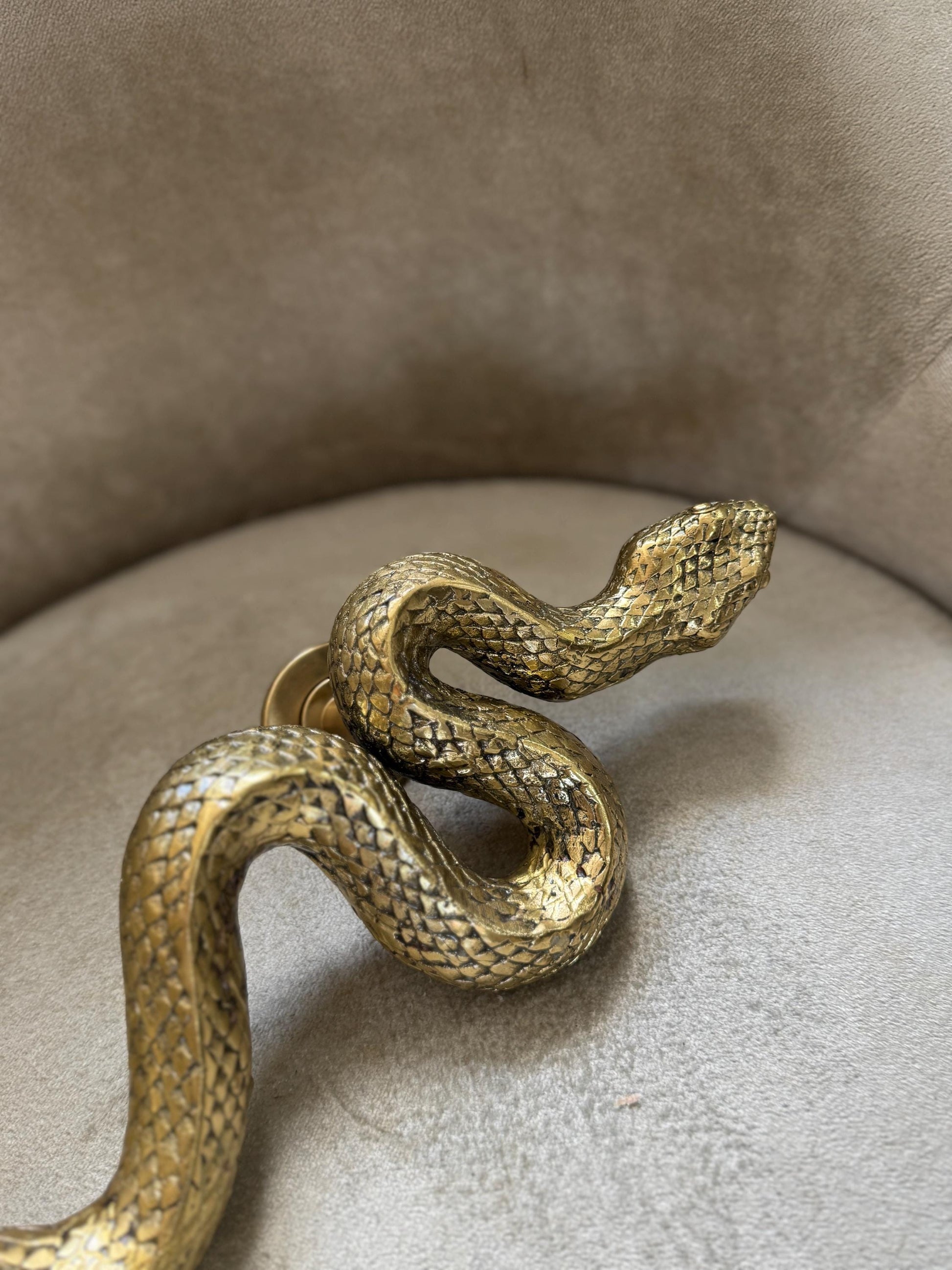 Brass Snake Door Handle