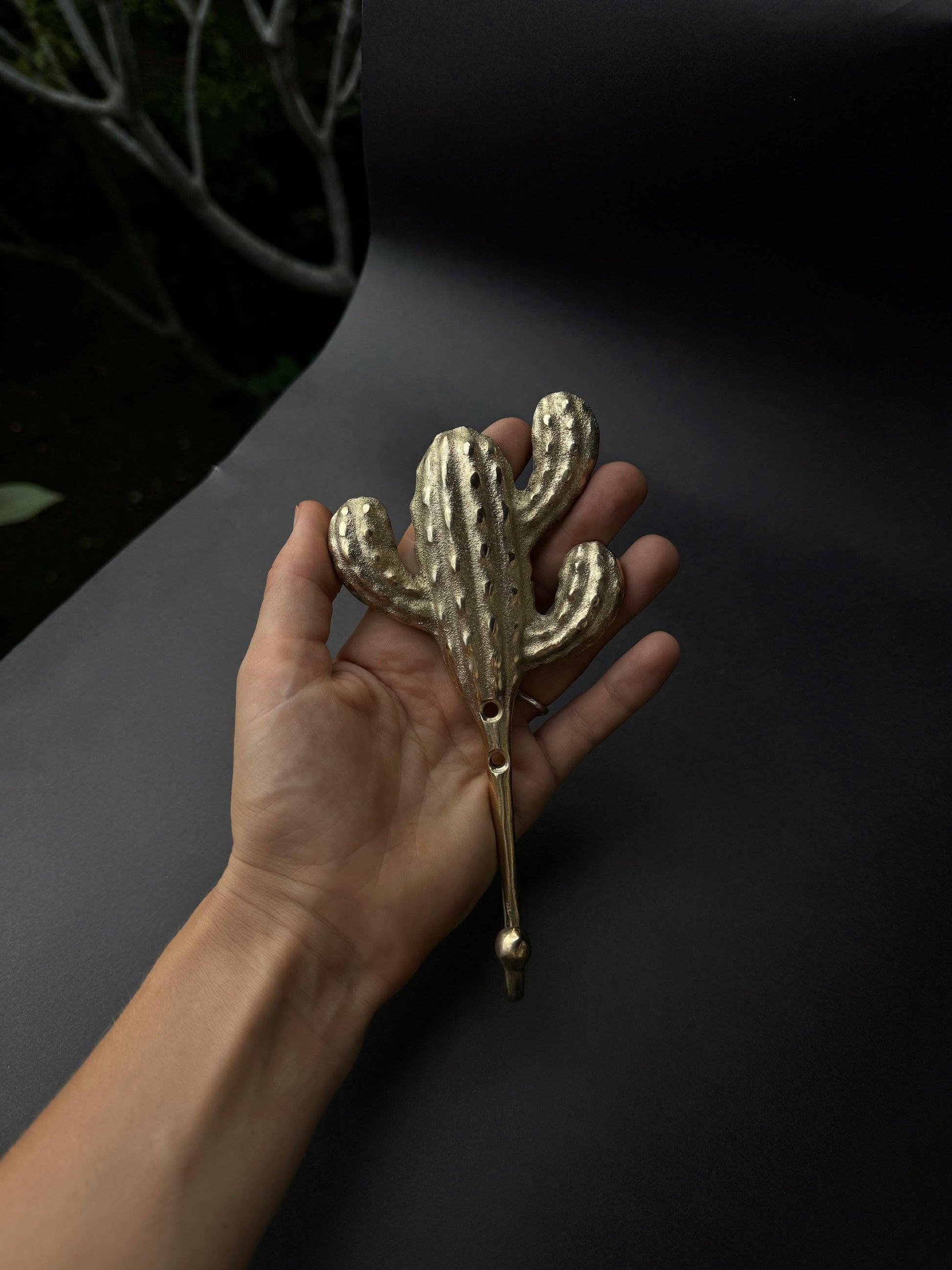 Brass Cactus Wall Hook