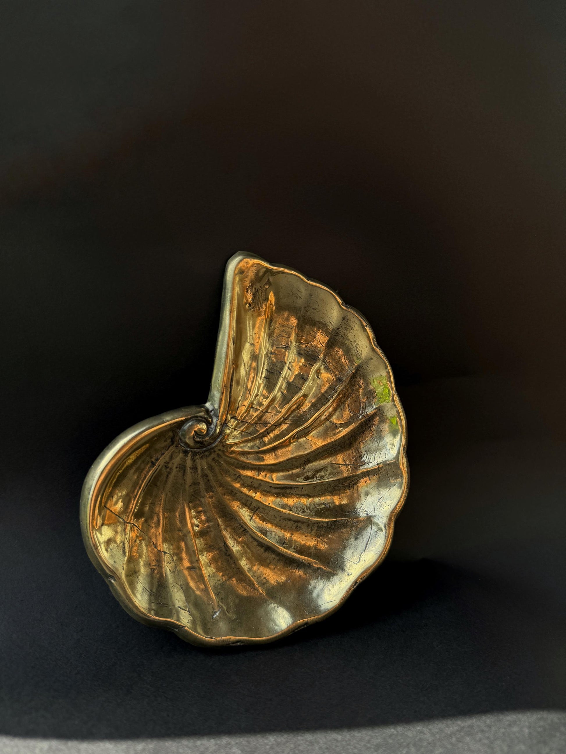 Brass Seashell Stand