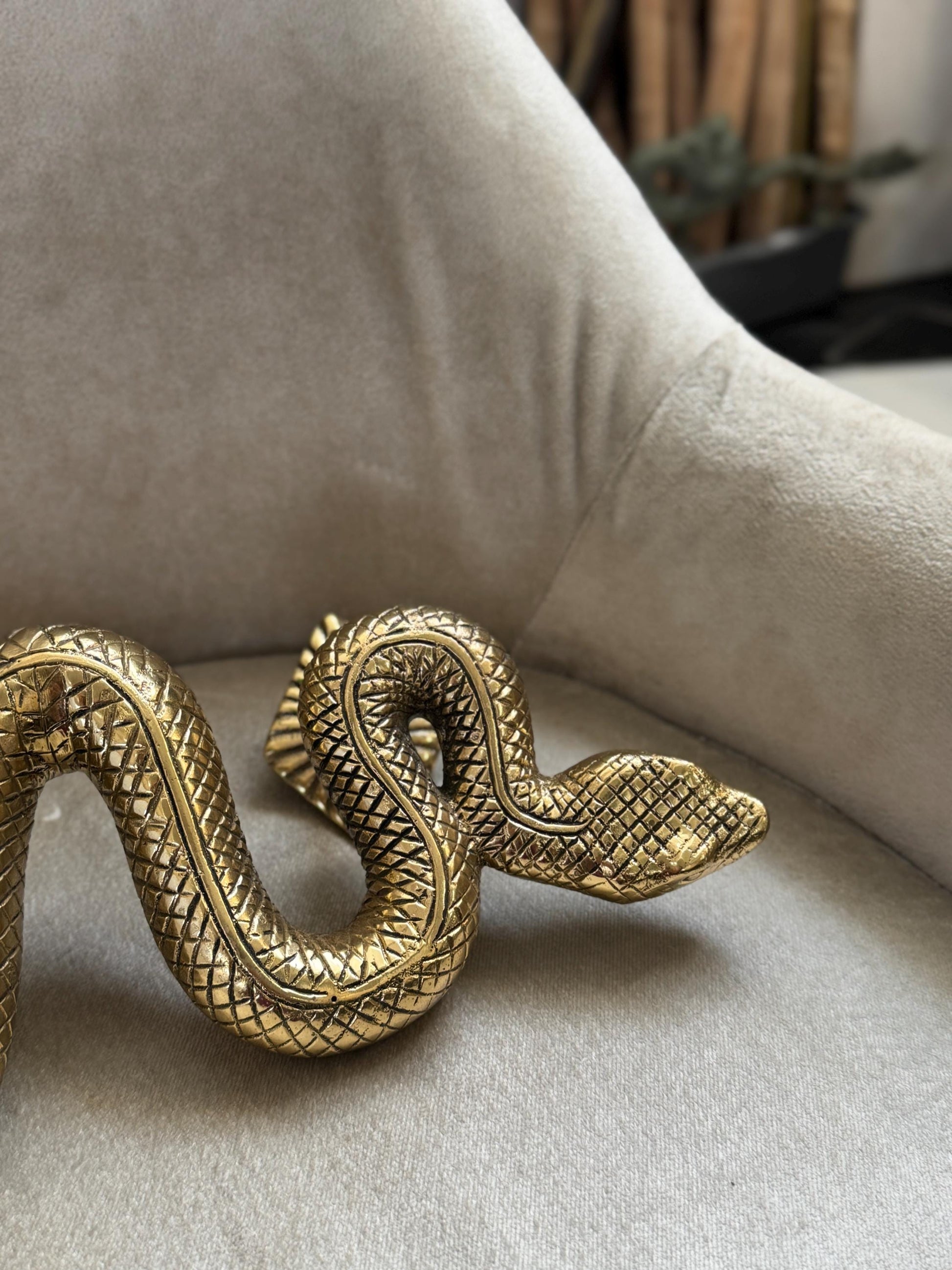 Brass Snake Door Handle