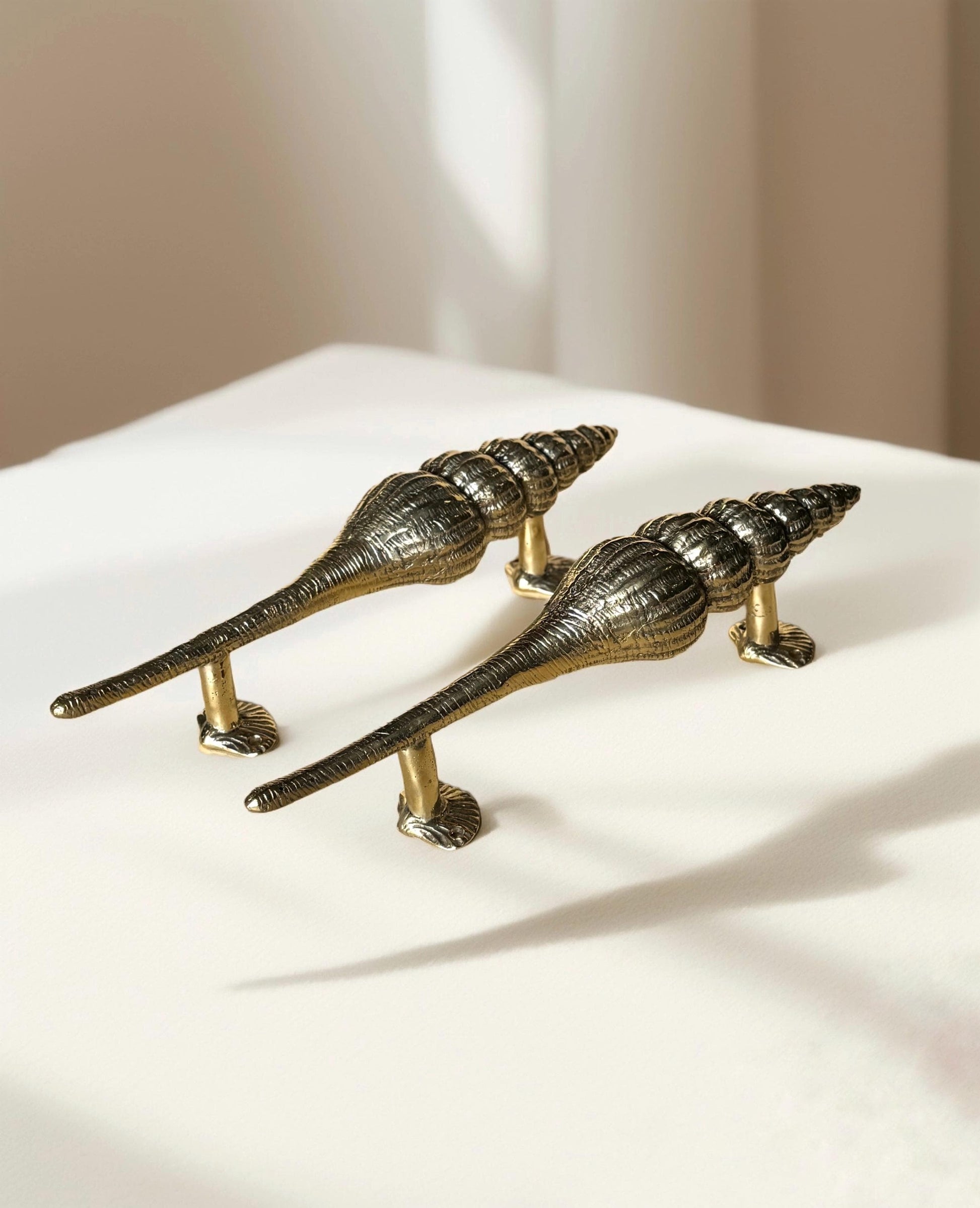 Seashell Brass Door Handle