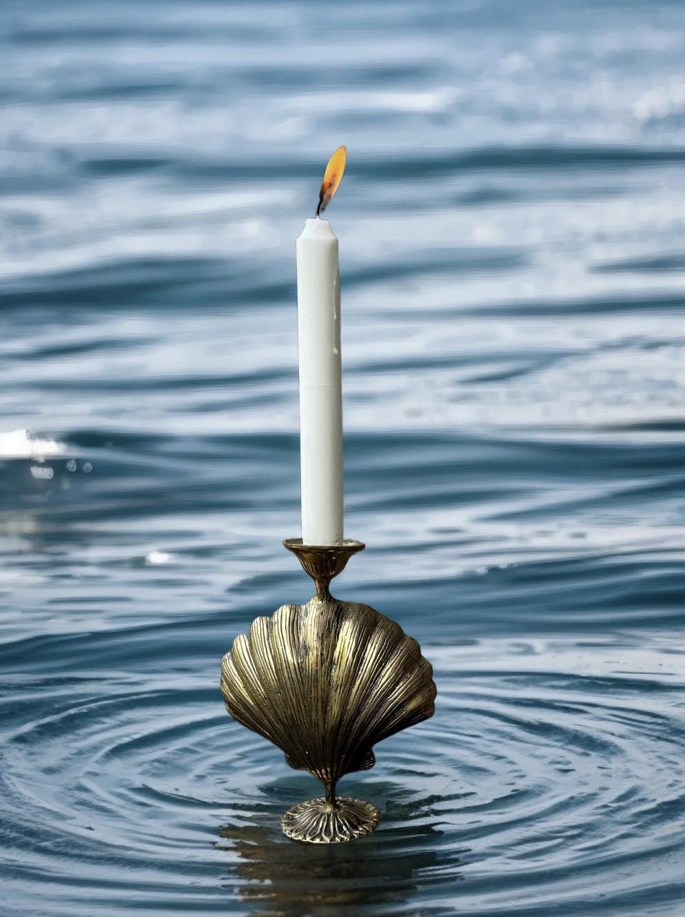 Shell Candle Holder