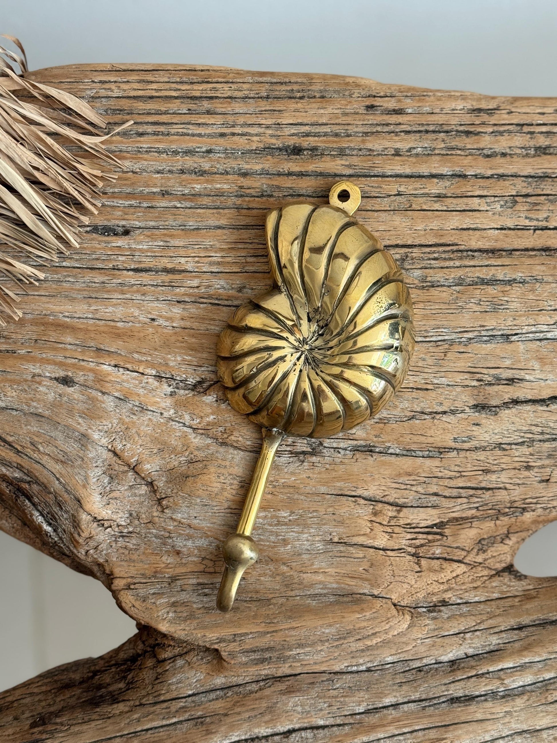 Curated Coastal Brass Shell Wall Hooks (Set of 5)
