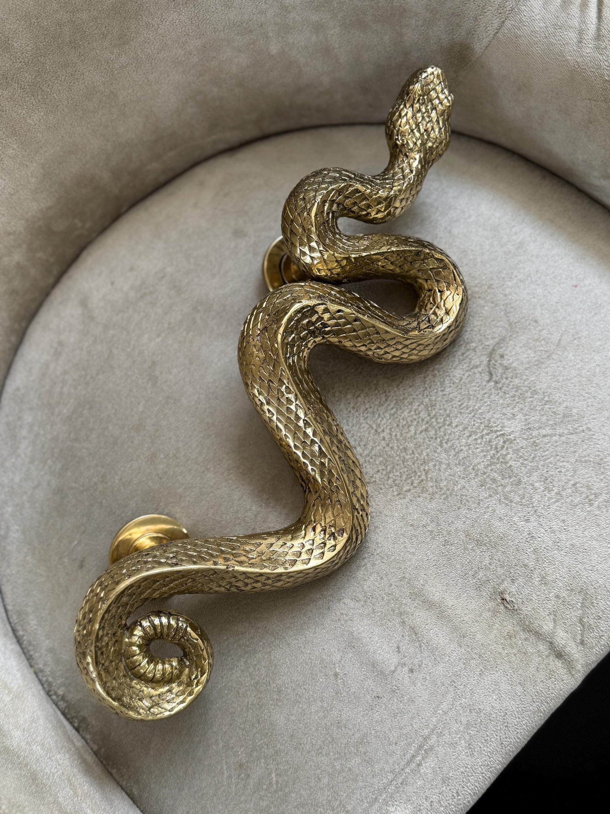 Brass Snake Door Handle