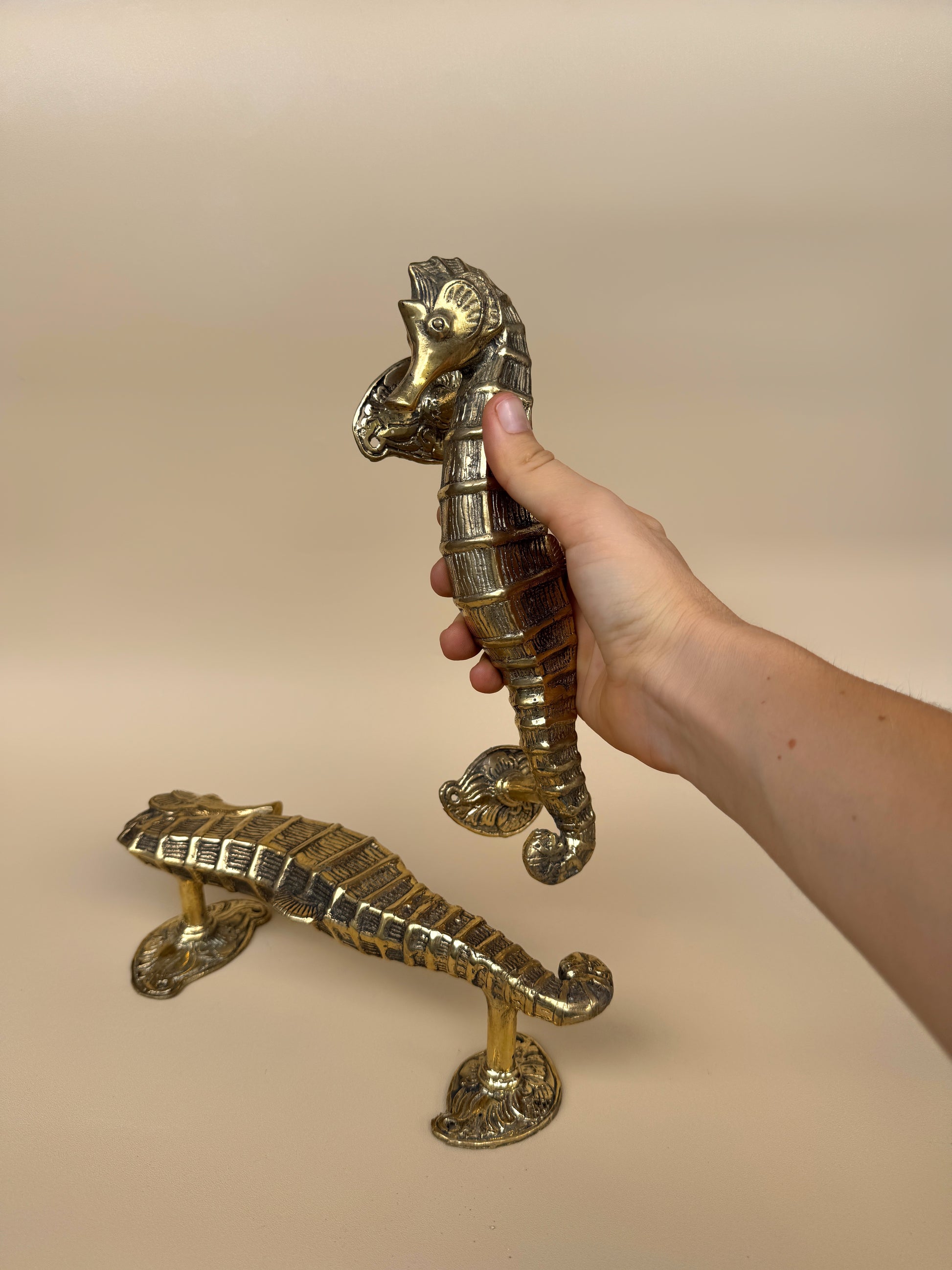 Vintage Seahorse Door Handle