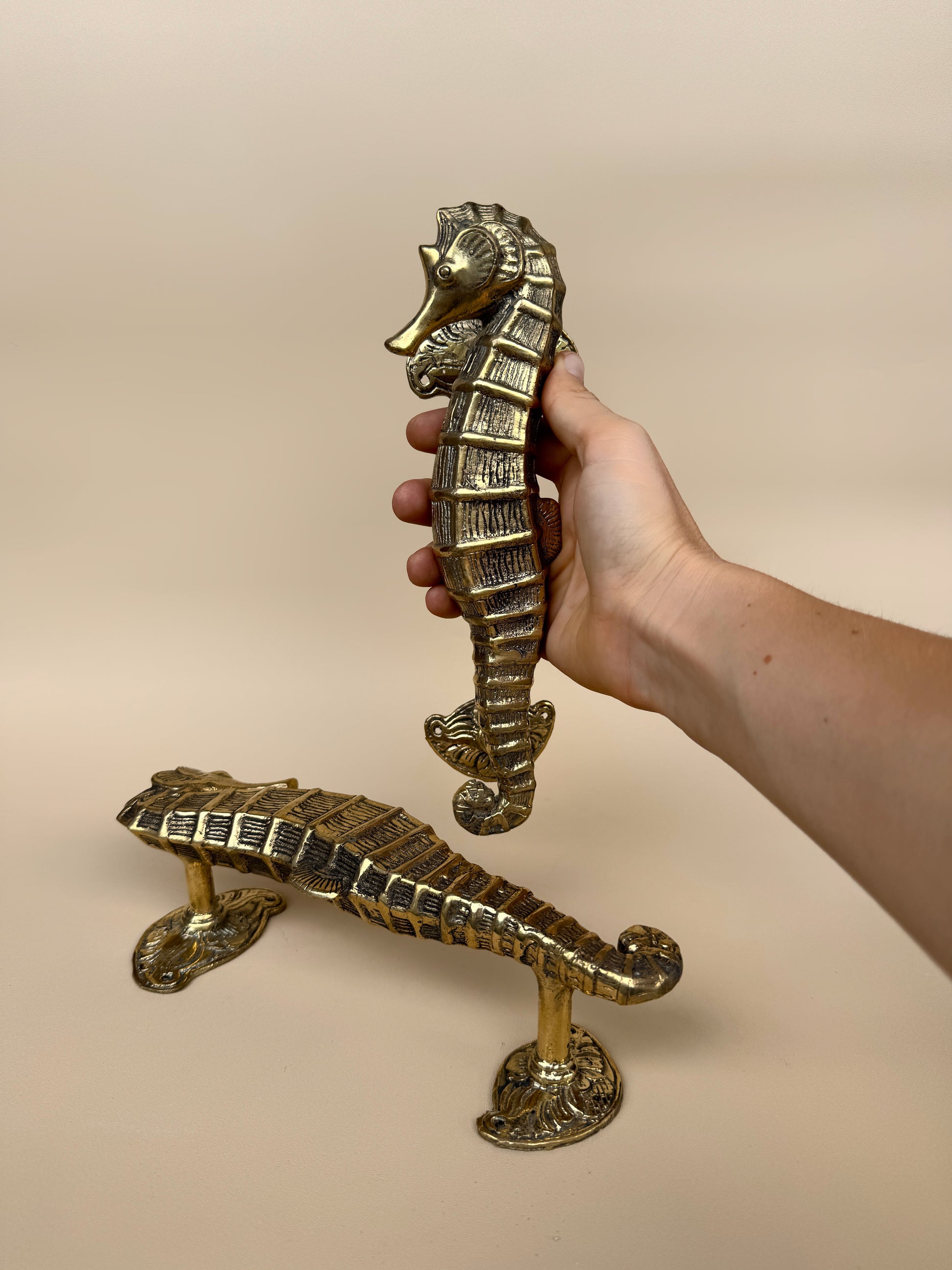 Vintage Seahorse Door Handle