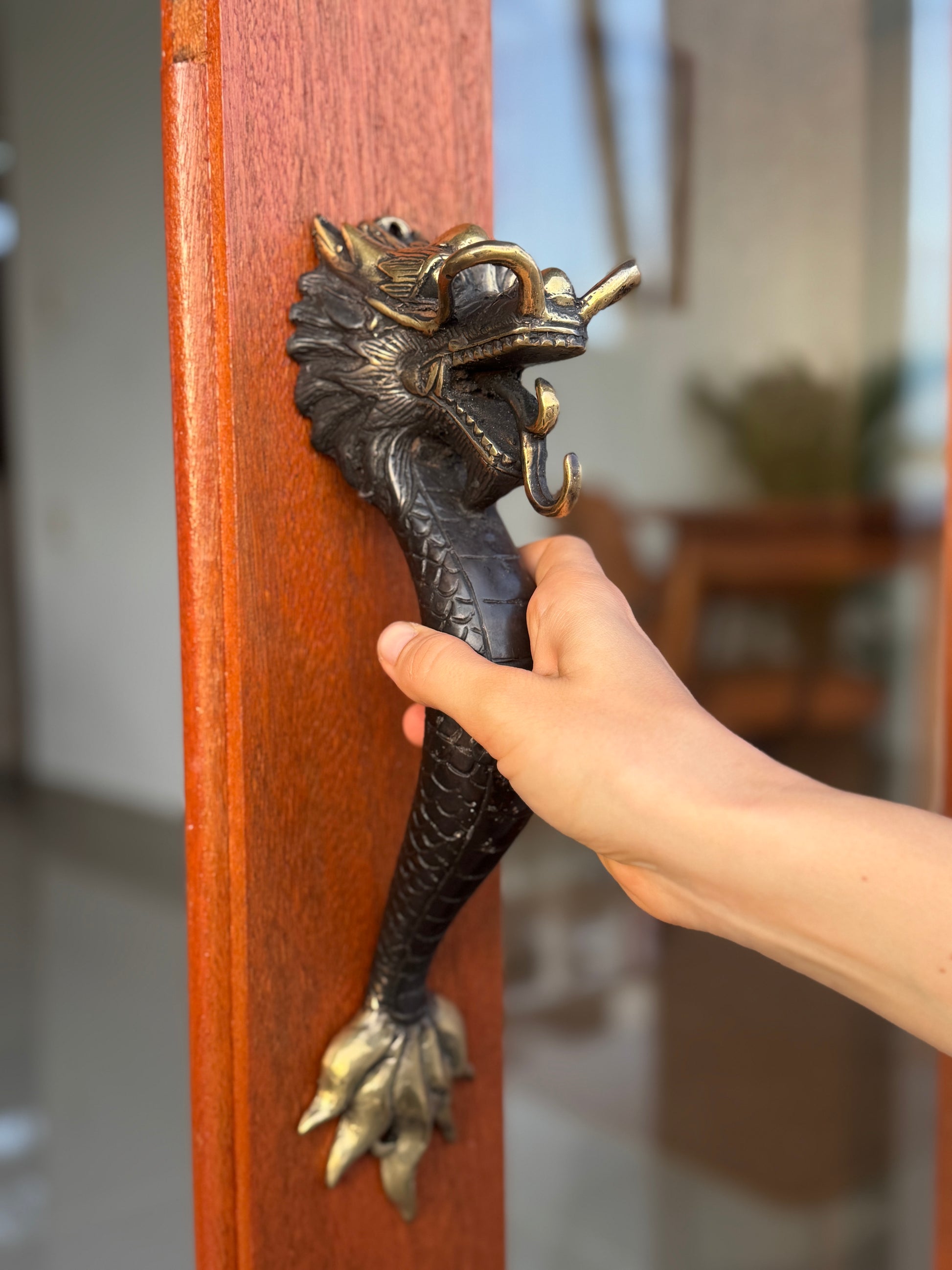 Dragon Door Handle