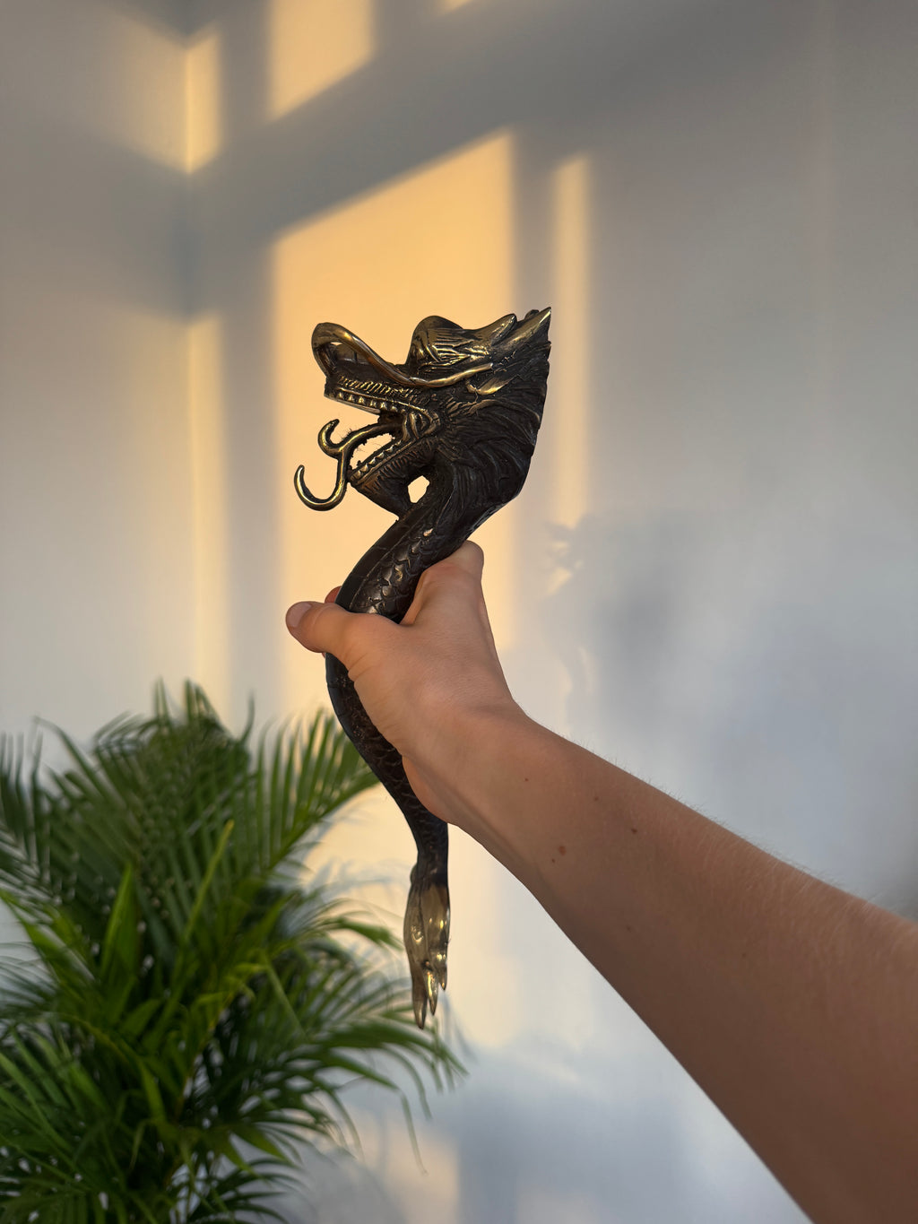 Dragon Door Handle