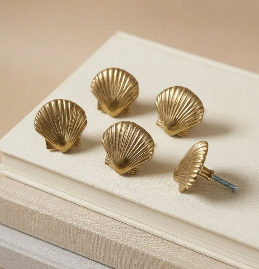 Brass Shell Drawer Knob