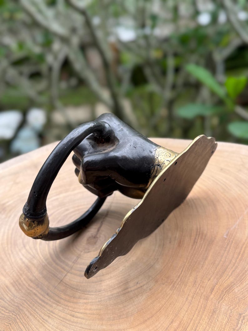 Black Door Knocker