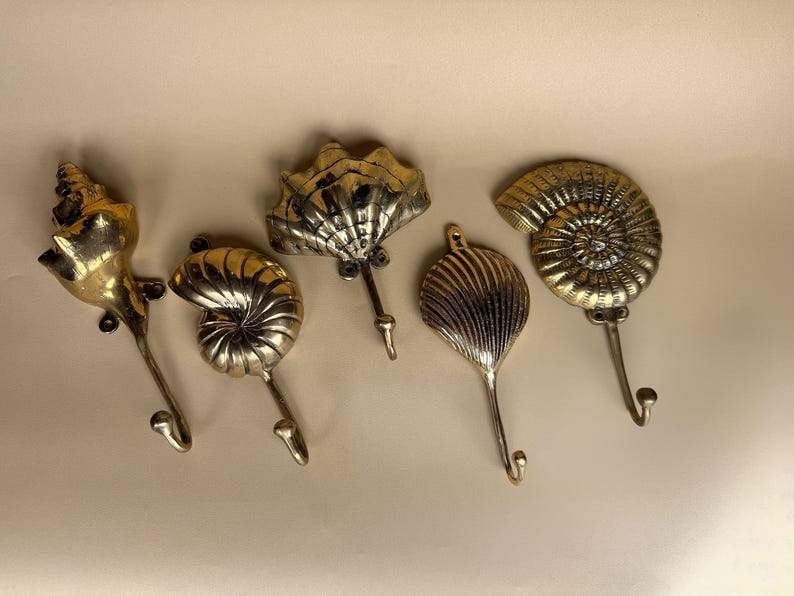 Curated Coastal Brass Shell Wall Hooks (Set of 5)