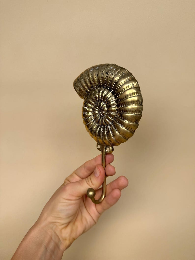 Vintage Nautilus Shell Wall Hook
