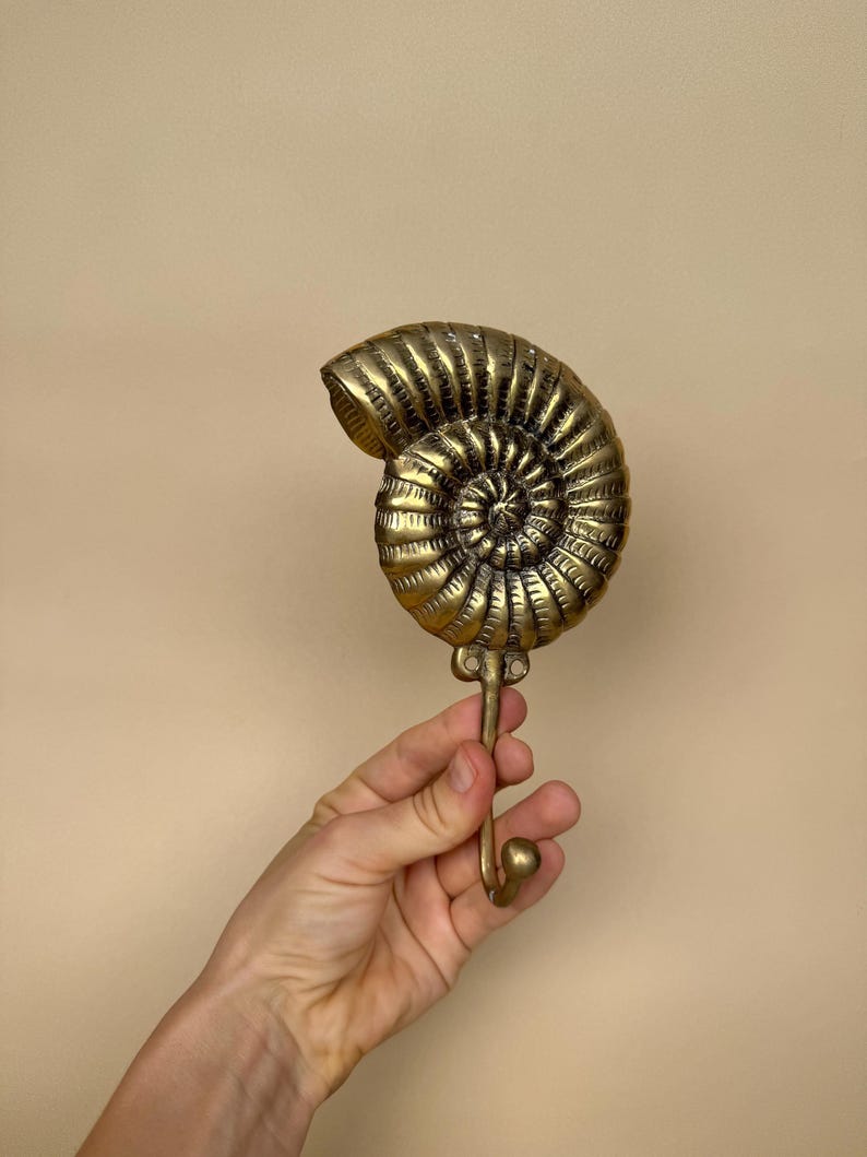 Vintage Nautilus Shell Wall Hook