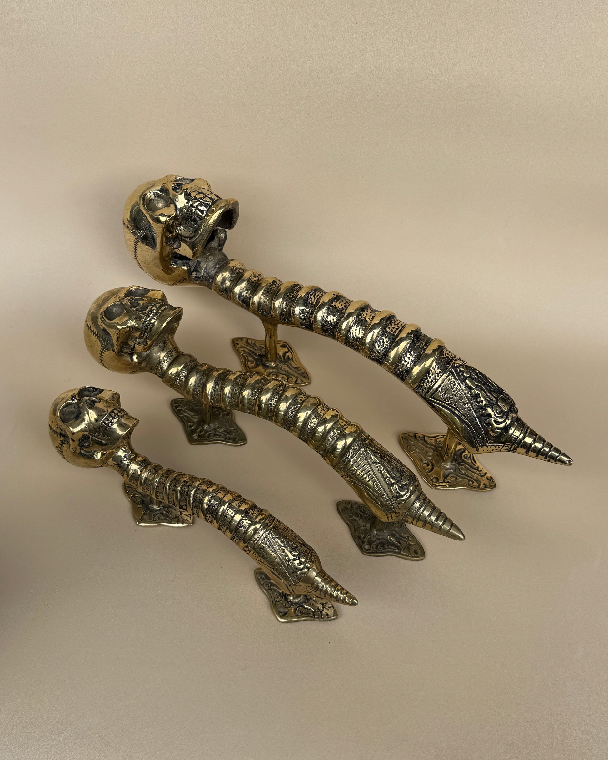 Gothic Brass Skull Door Handle "Spine & Cranium"