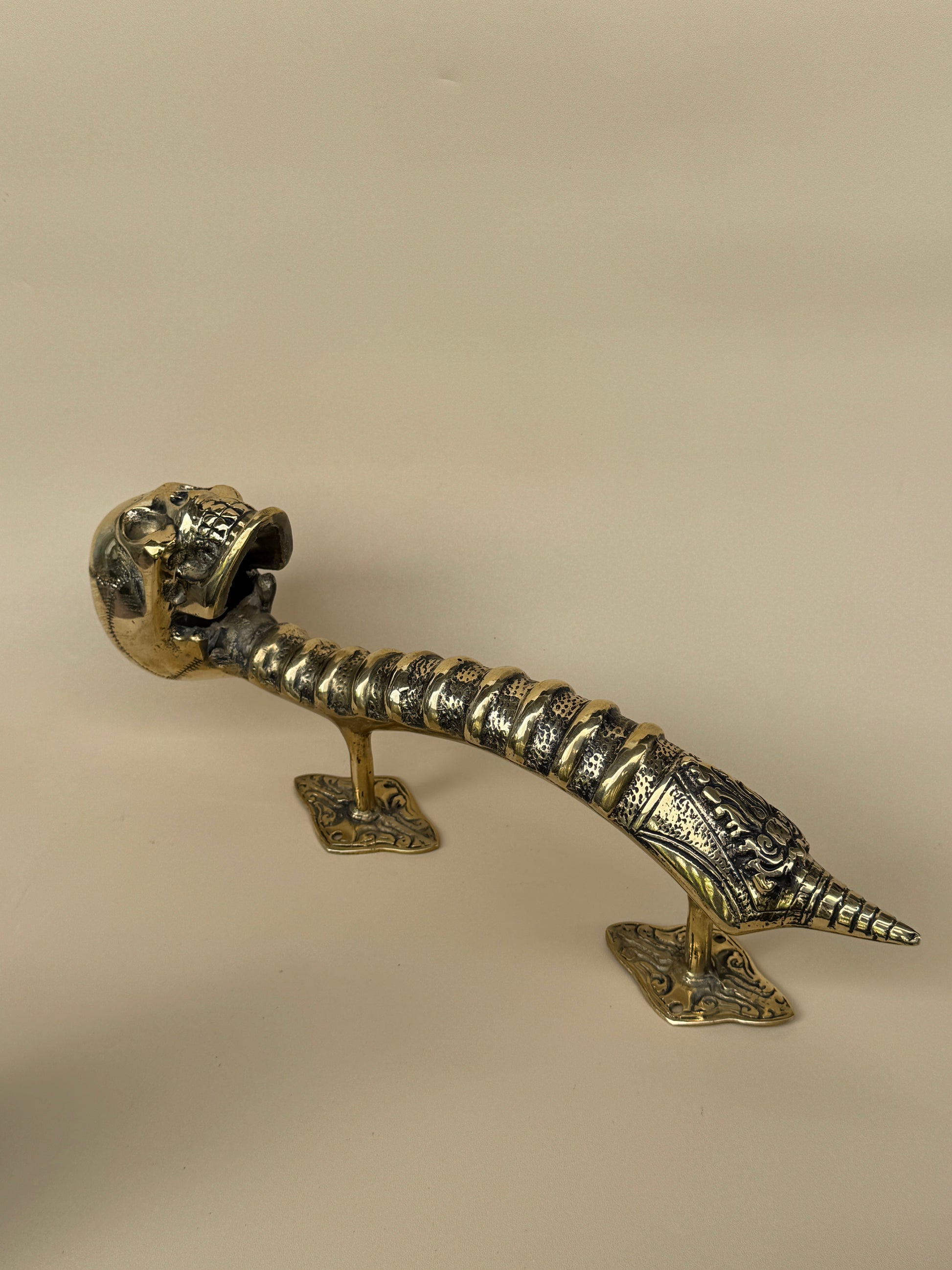 Gothic Brass Skull Door Handle "Spine & Cranium"