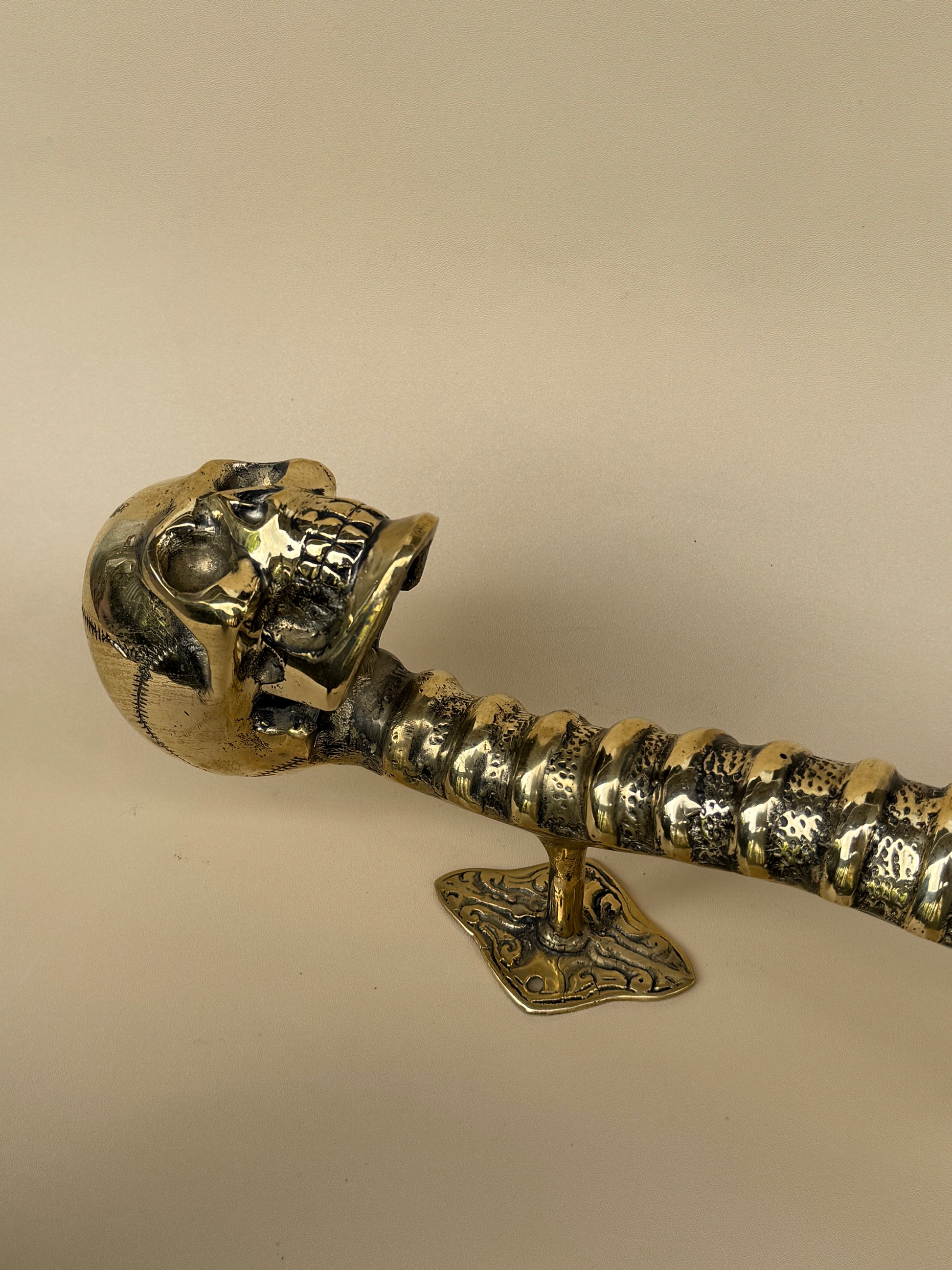 Gothic Brass Skull Door Handle "Spine & Cranium"
